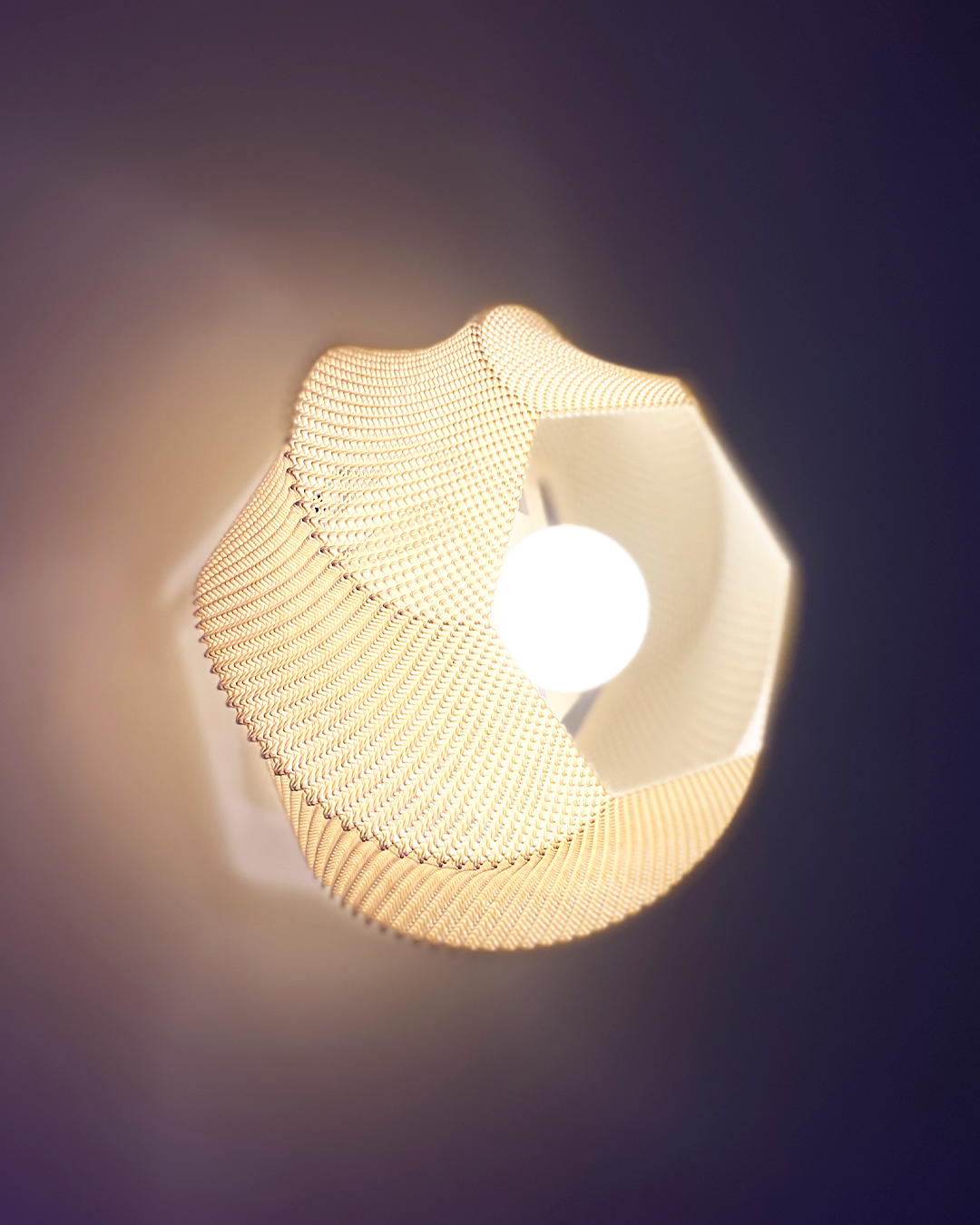 Sofia Wall Lamp