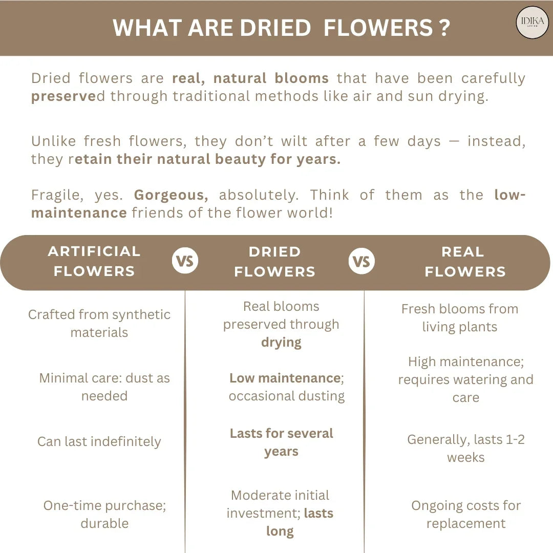 Preserved Baby's Breath