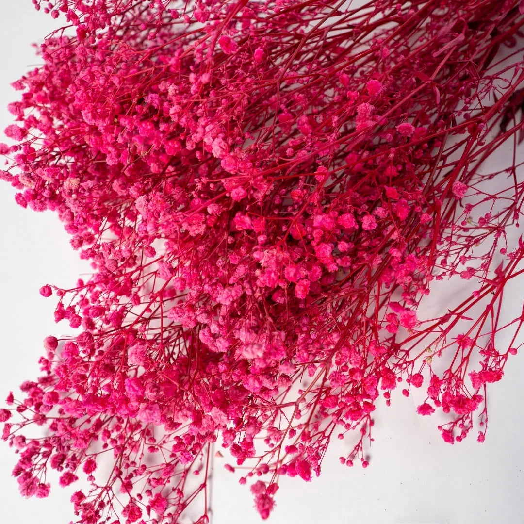 Preserved Baby's Breath