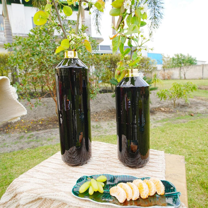 Rajni Black Metal Vases Set of 2 for Home Decor |  Flower Vase & Showpiece for Table Decor