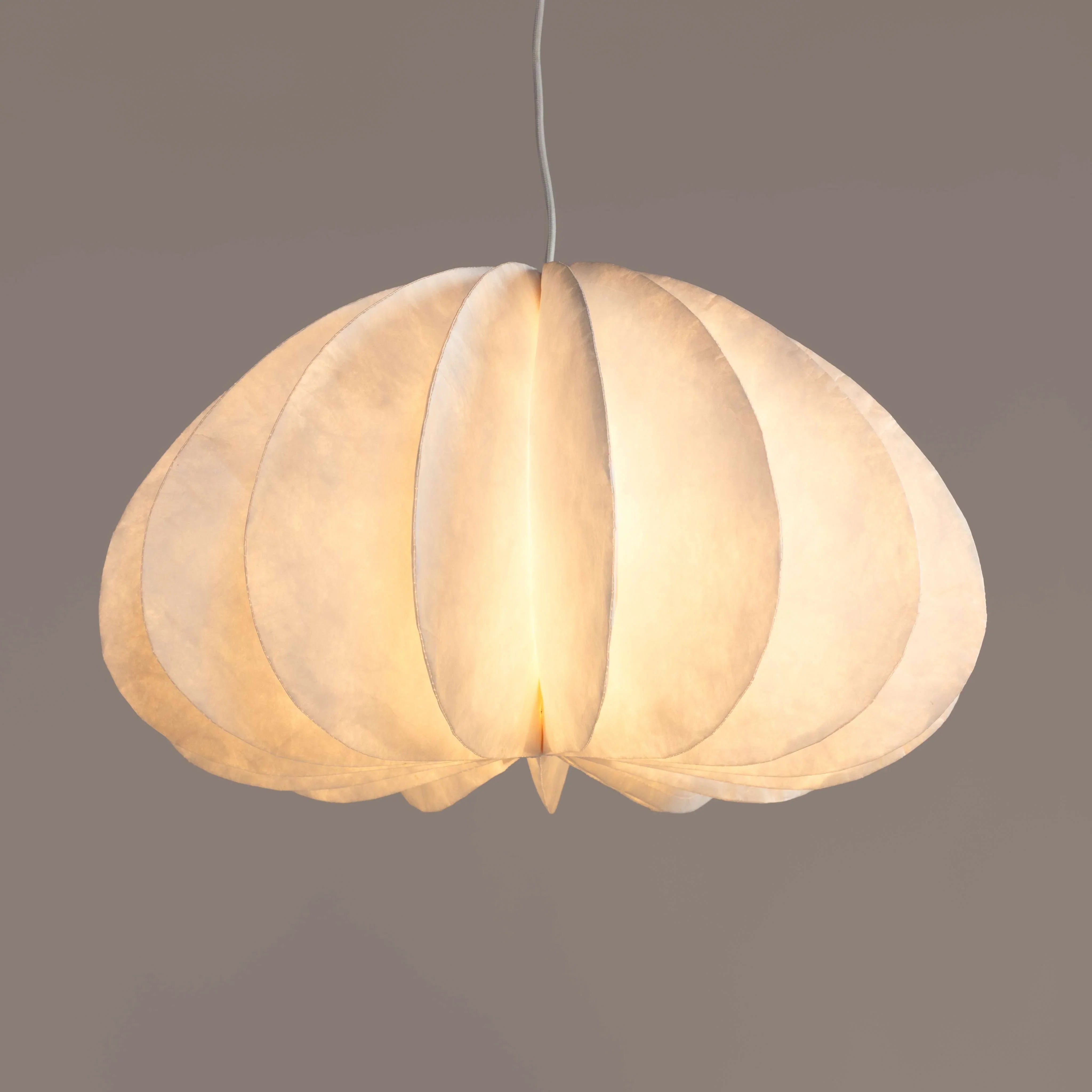 Daisy Pendant Lamp | Modern Hanging Ceiling Lights | Hanging Light Lamp for Living Room