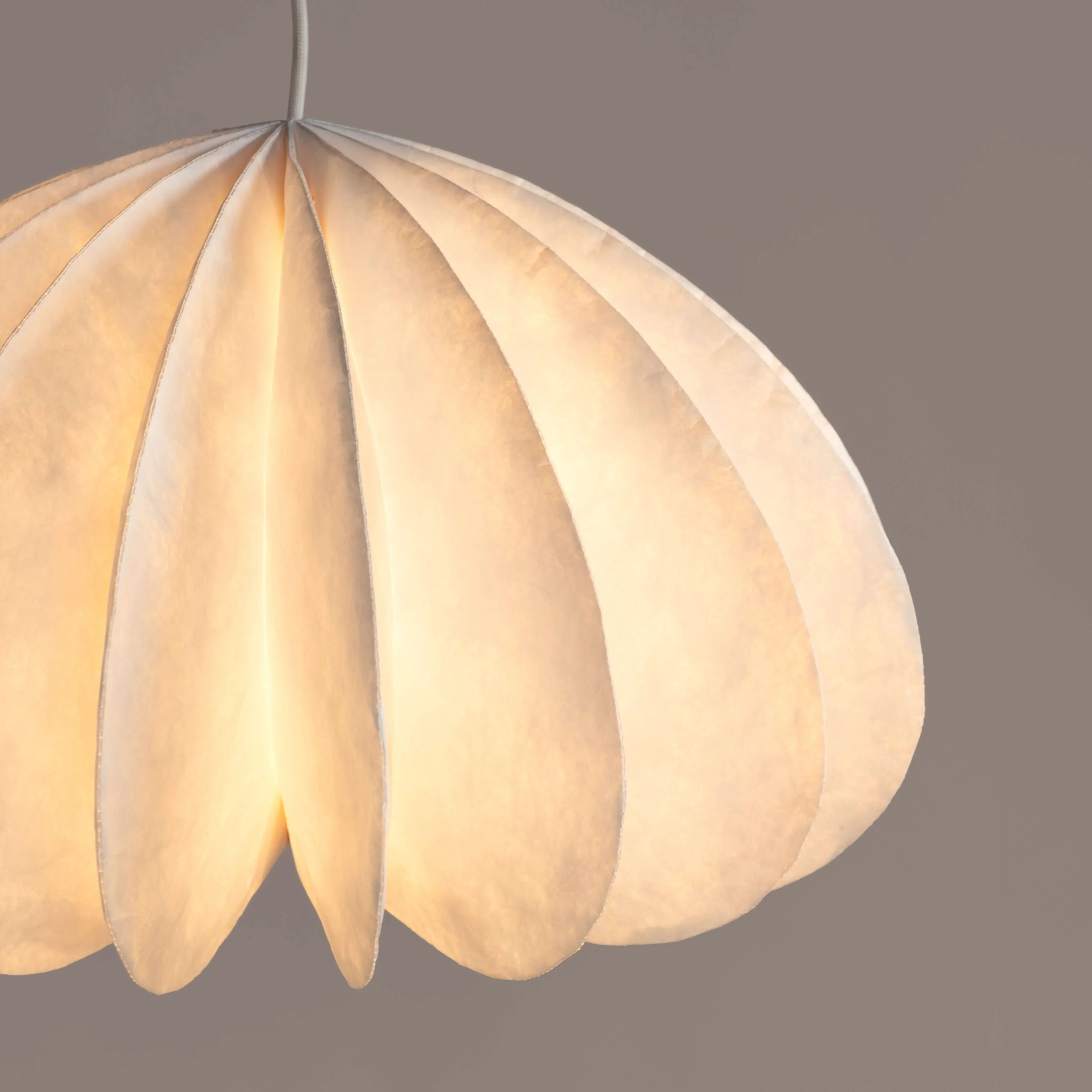 Daisy Pendant Lamp | Modern Hanging Ceiling Lights | Hanging Light Lamp for Living Room