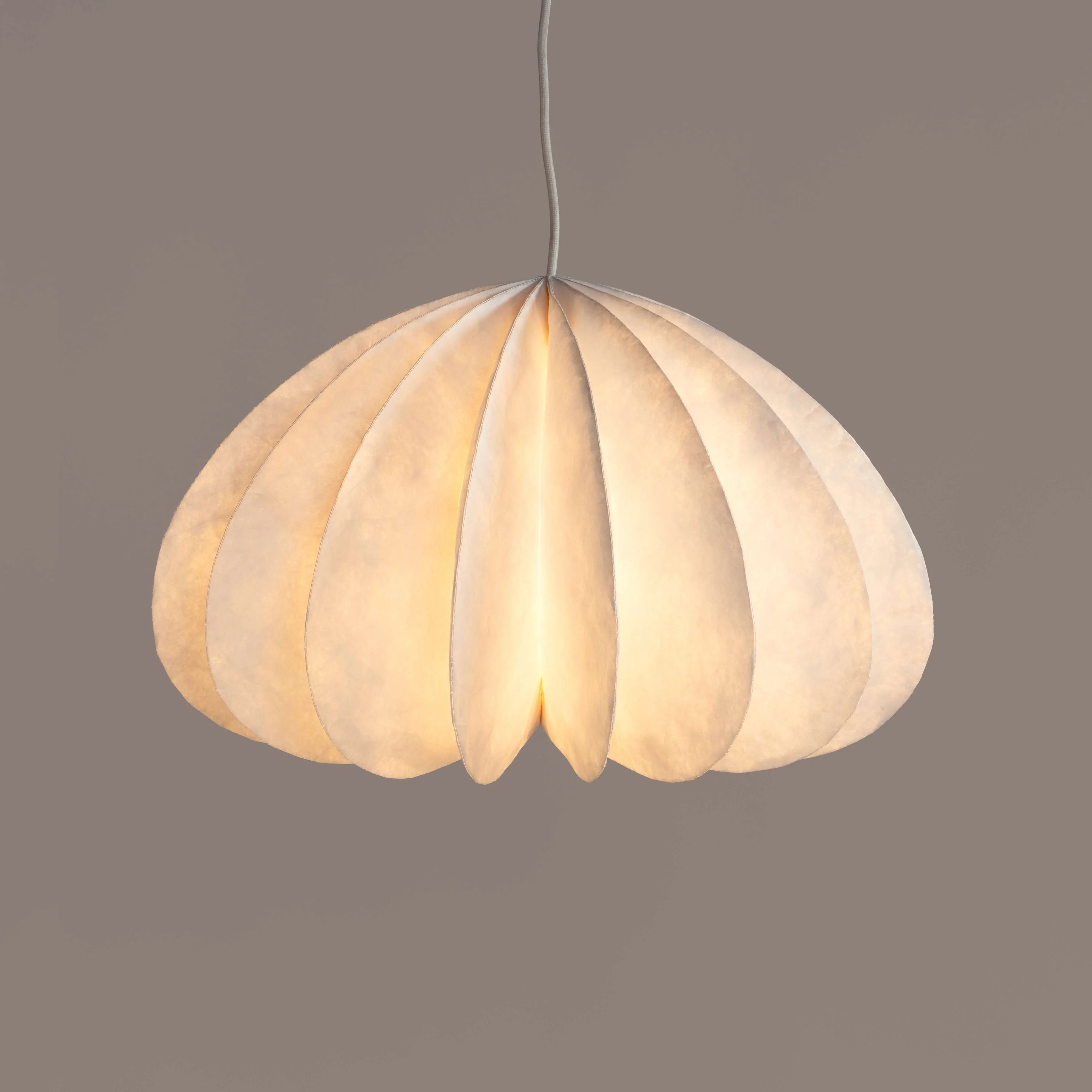 Daisy Pendant Lamp | Modern Hanging Ceiling Lights | Hanging Light Lamp for Living Room
