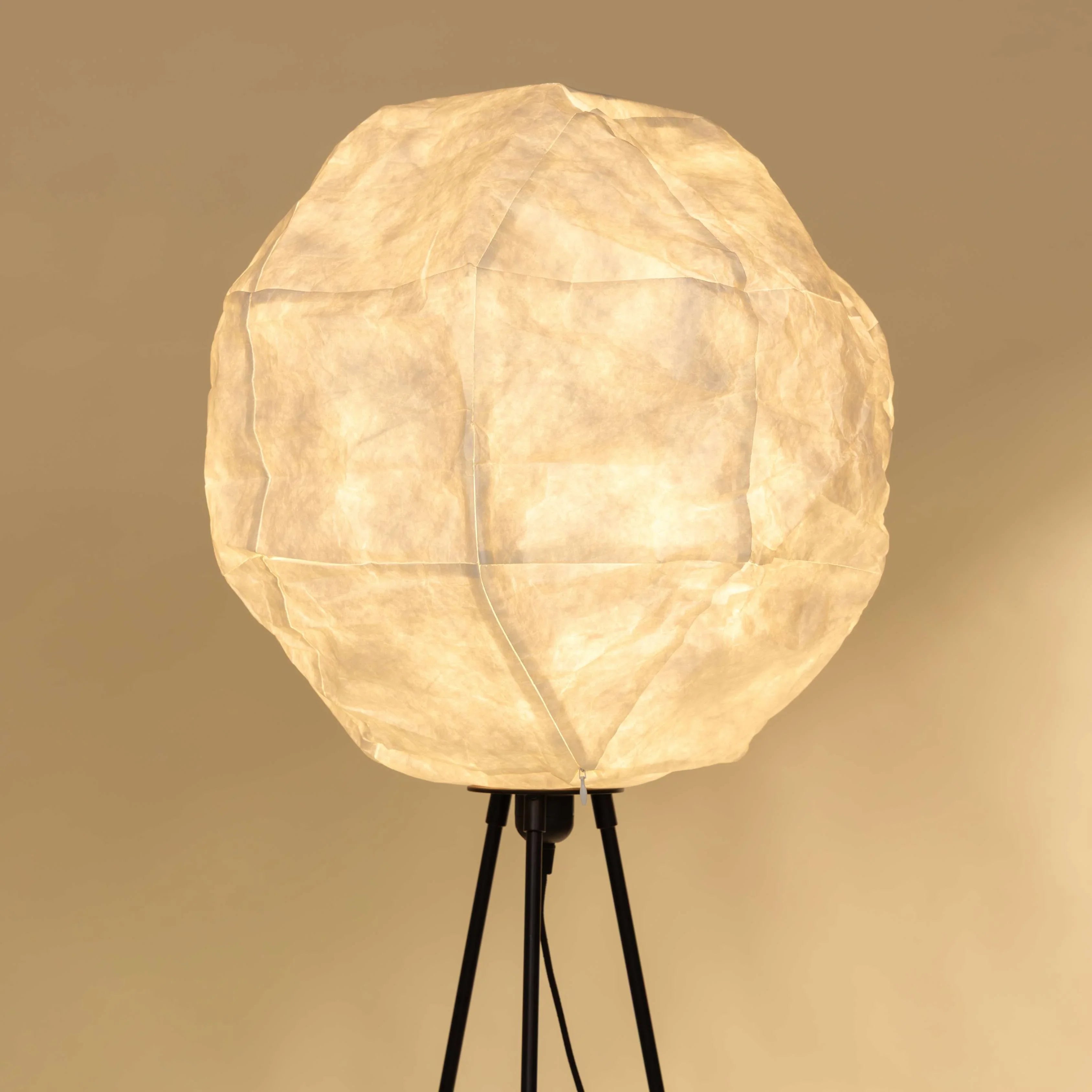 Lunar Floor Lamp for Living Room | Standing Lampshade