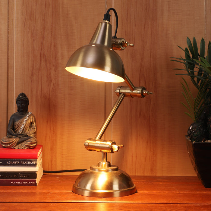 Shiny Adjustable Iron Study Lamp