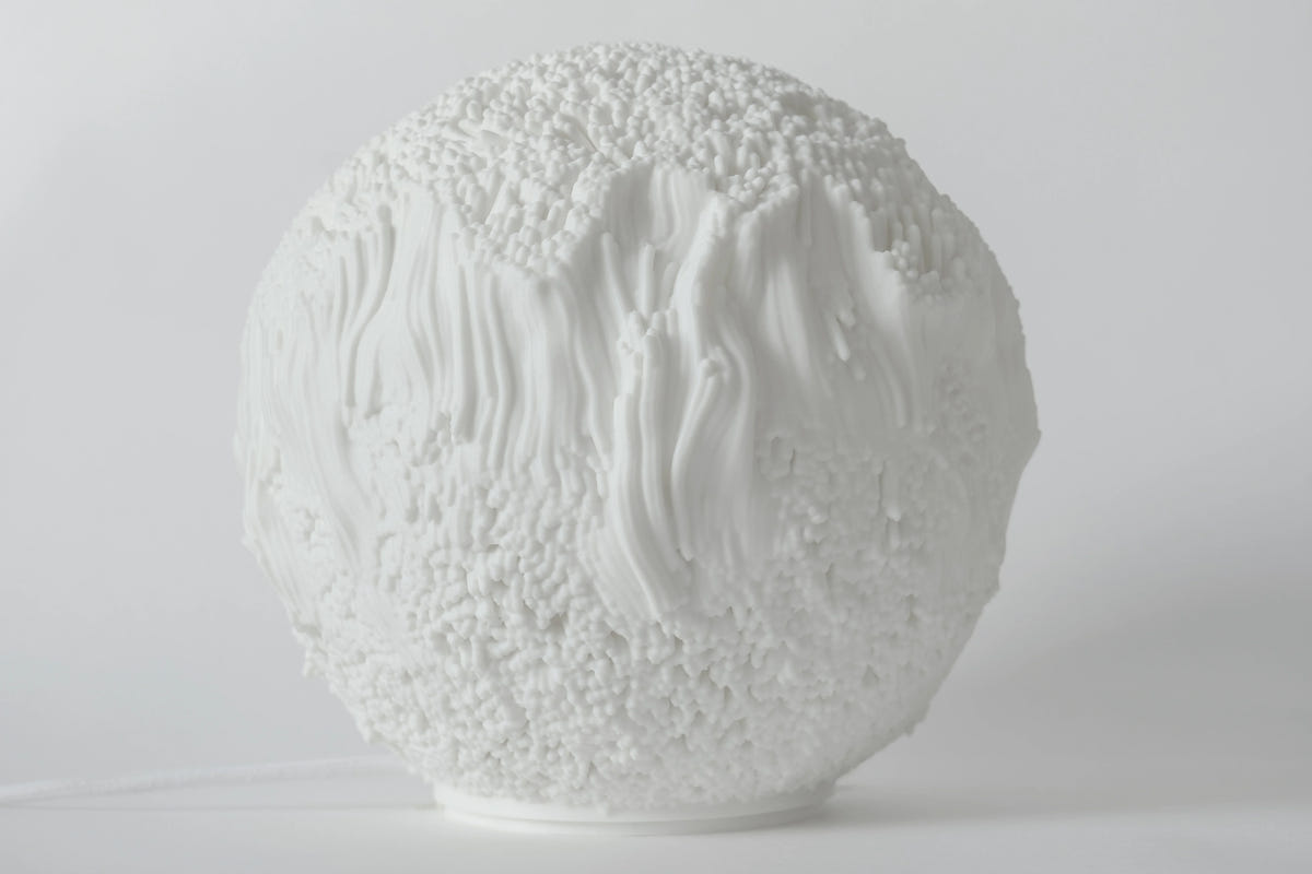Reef Sculpted Lamp
