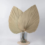 Jumbo Spear Palm | Natural