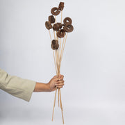 Dried Palm Ring | Natural