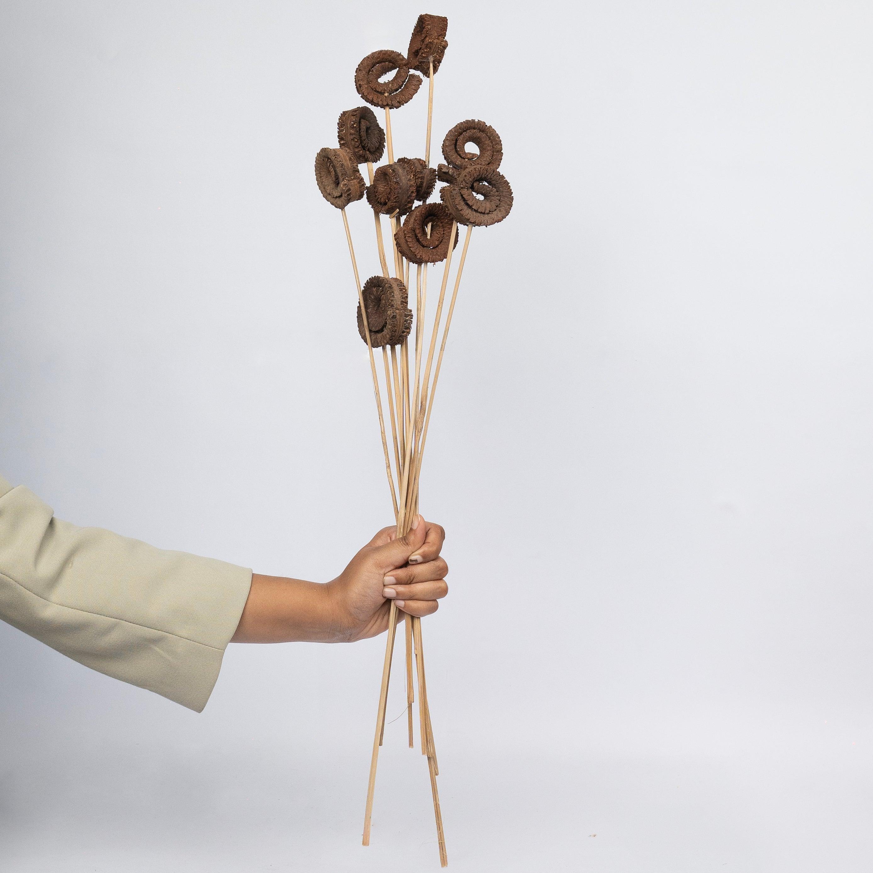 Dried Palm Ring | Natural