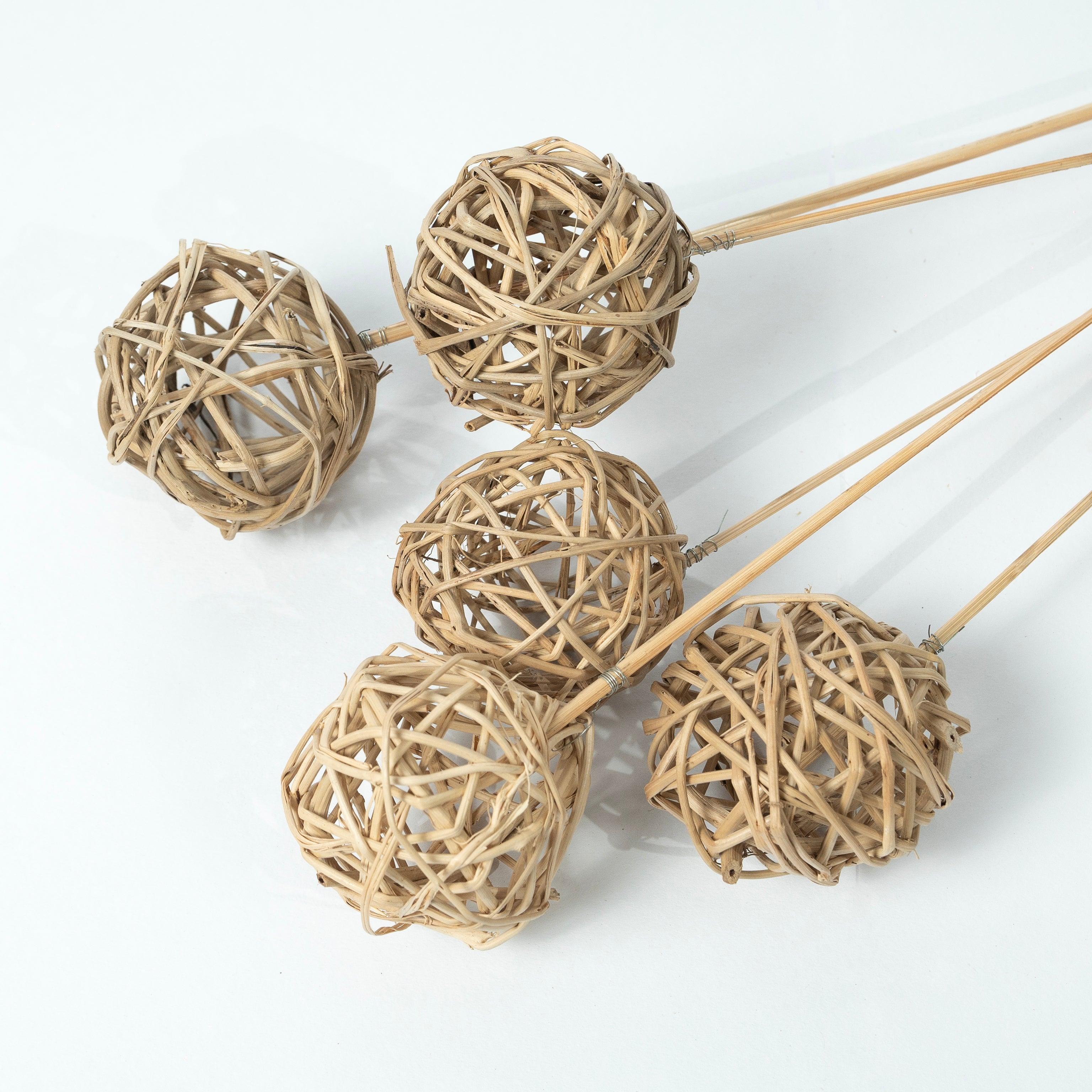 Dried Lata Ball