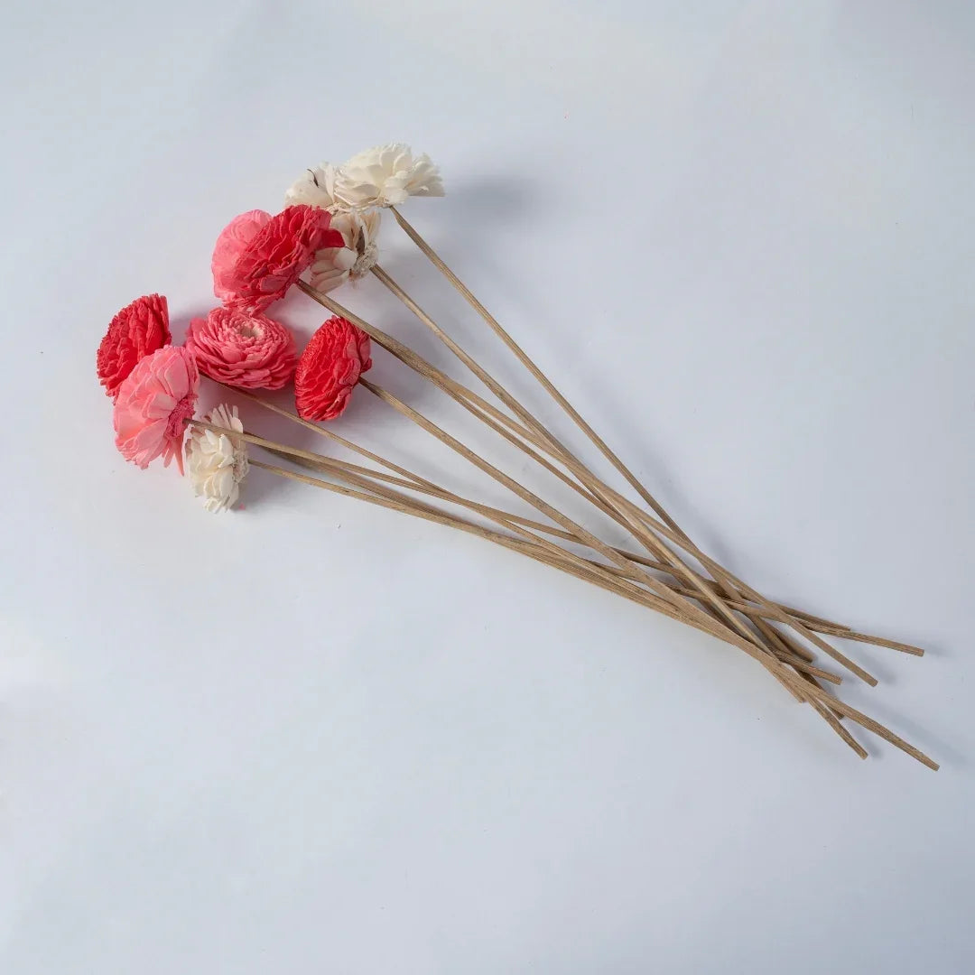 Bailey - 6 cm | Baby Pink, Pink and White