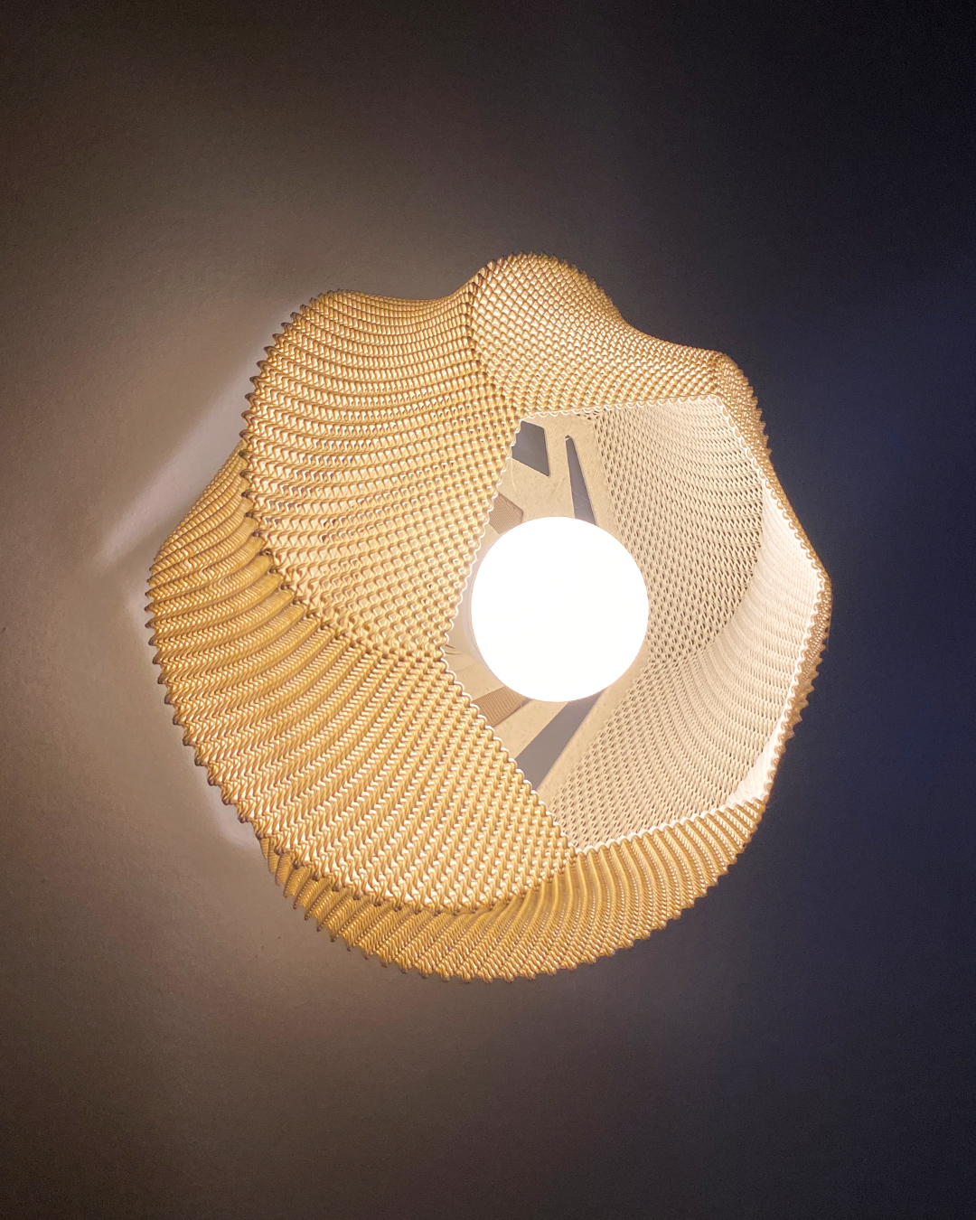 Sofia Wall Lamp