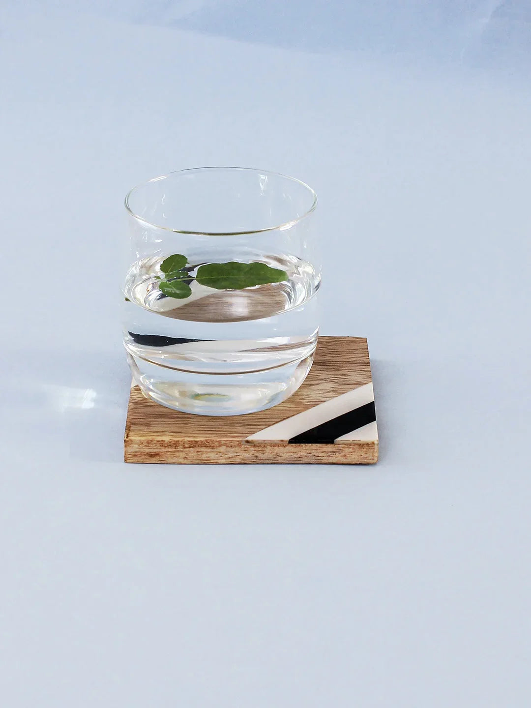 Netrani Coasters In Multicolor Colour