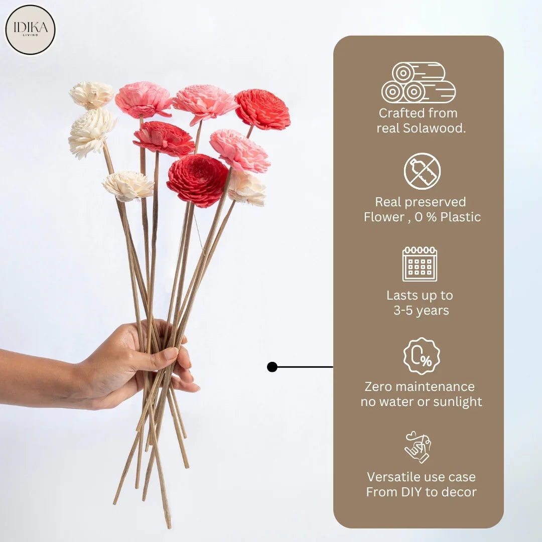 Bailey - 6 cm | Baby Pink, Pink and White