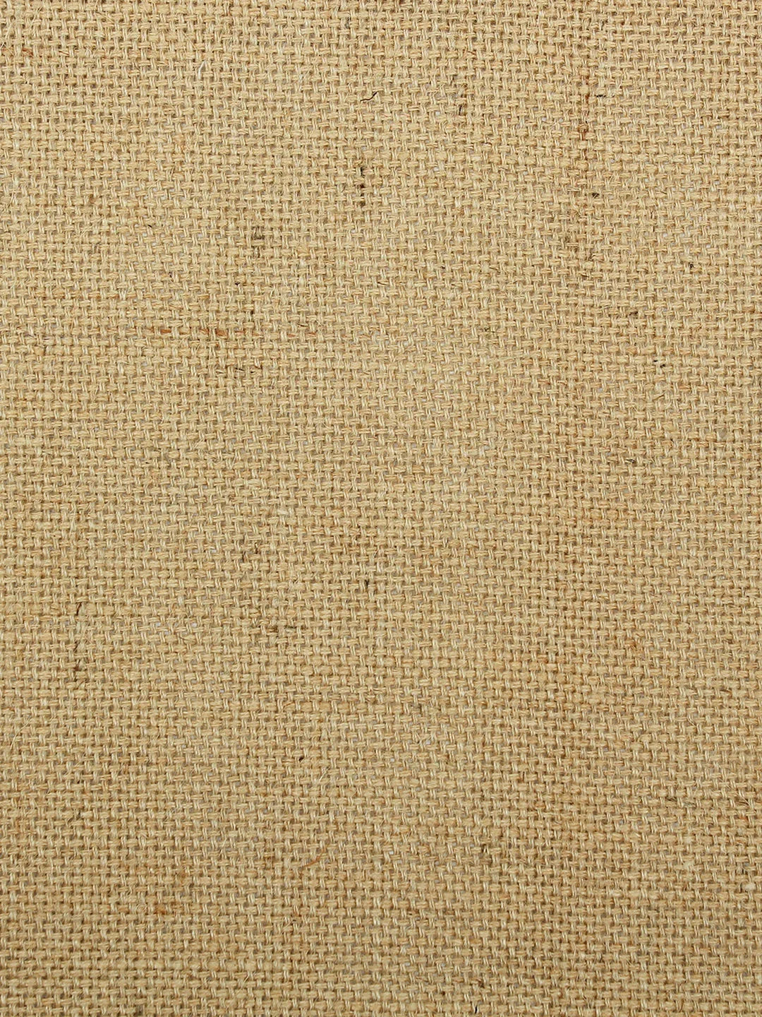 Bhoomi Placemats In Beige Colour