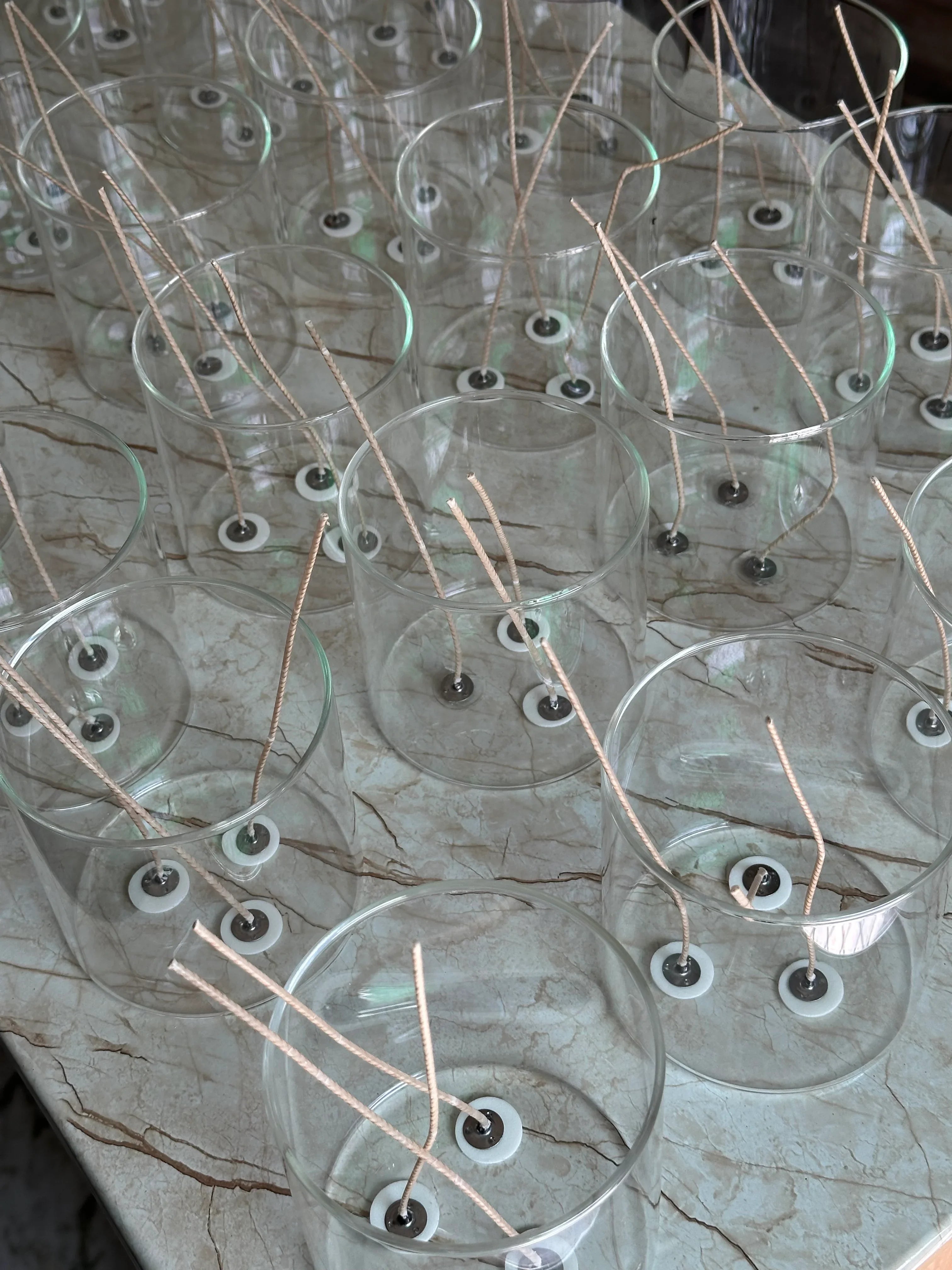 Succulent  Garden Candle