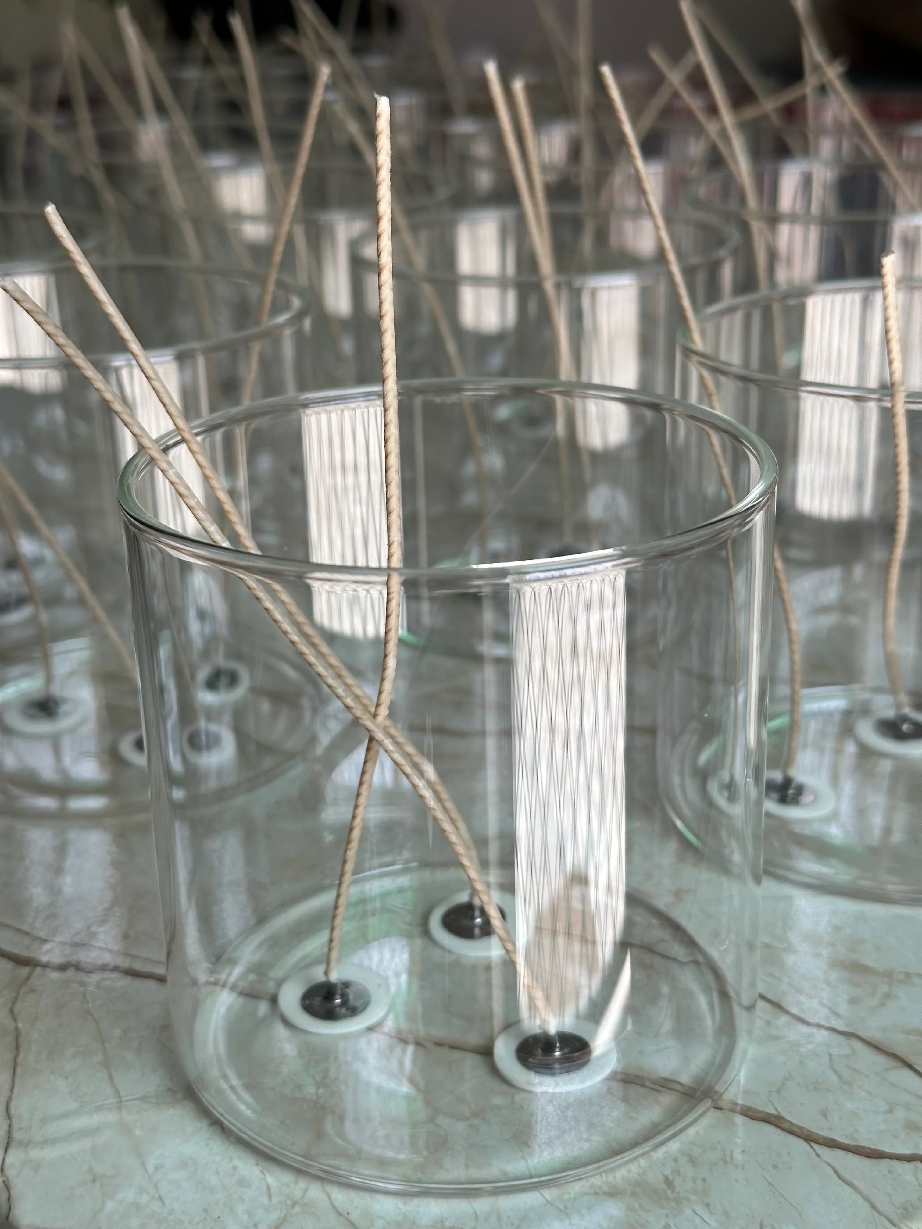 Succulent  Garden Candle