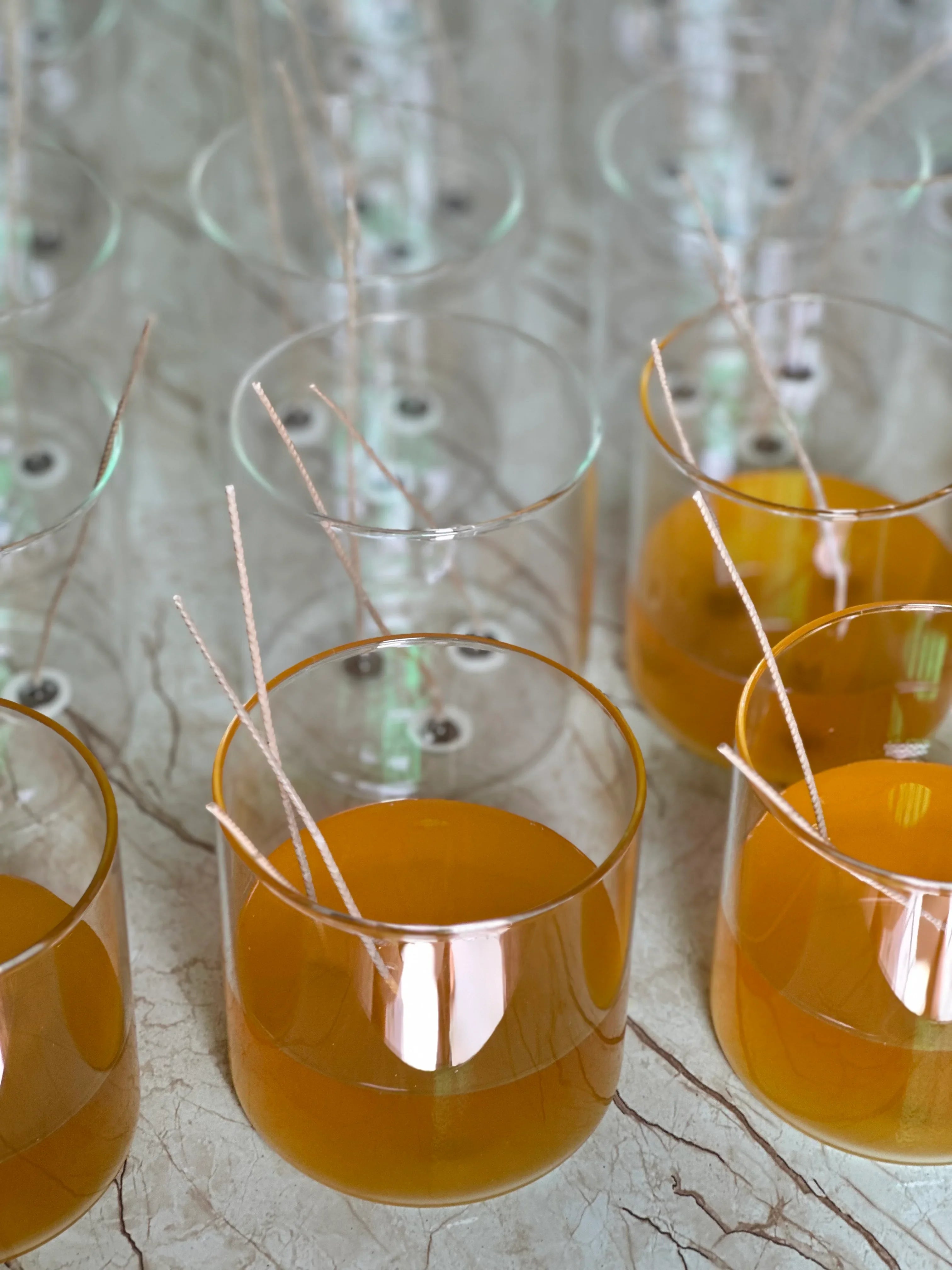 Succulent  Garden Candle