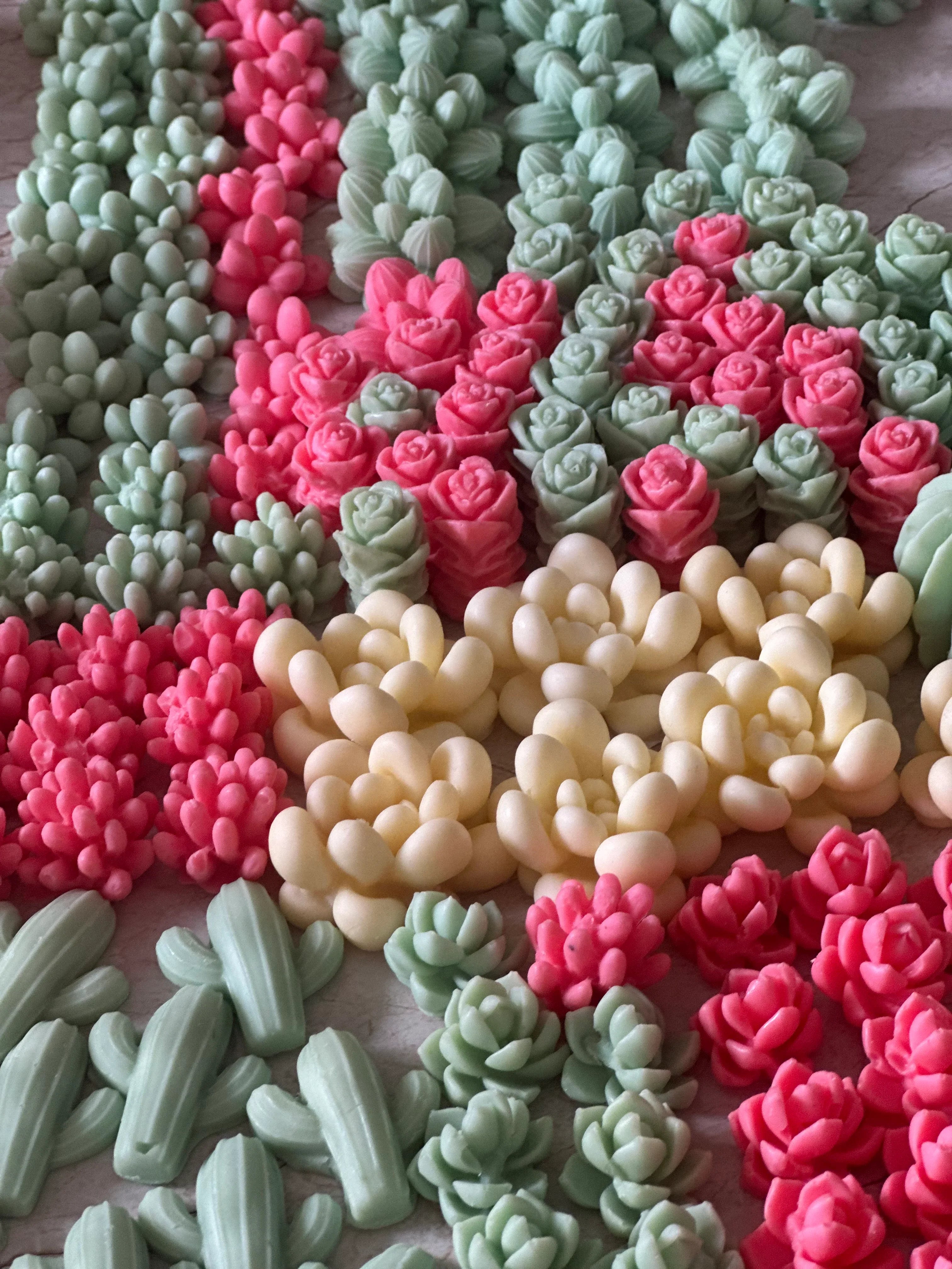 Succulent  Garden Candle