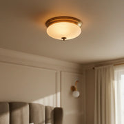 Simple Elegant Frosted Glass and Brass Ceiling Light | 10 Inches Flush Mount Ceiling Lamp