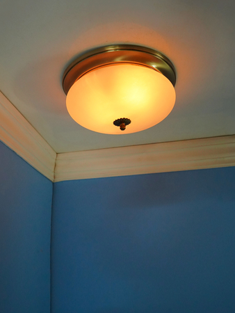 Simple Elegant Frosted Glass and Brass 10 Inches Flush Mount Ceiling Lamp