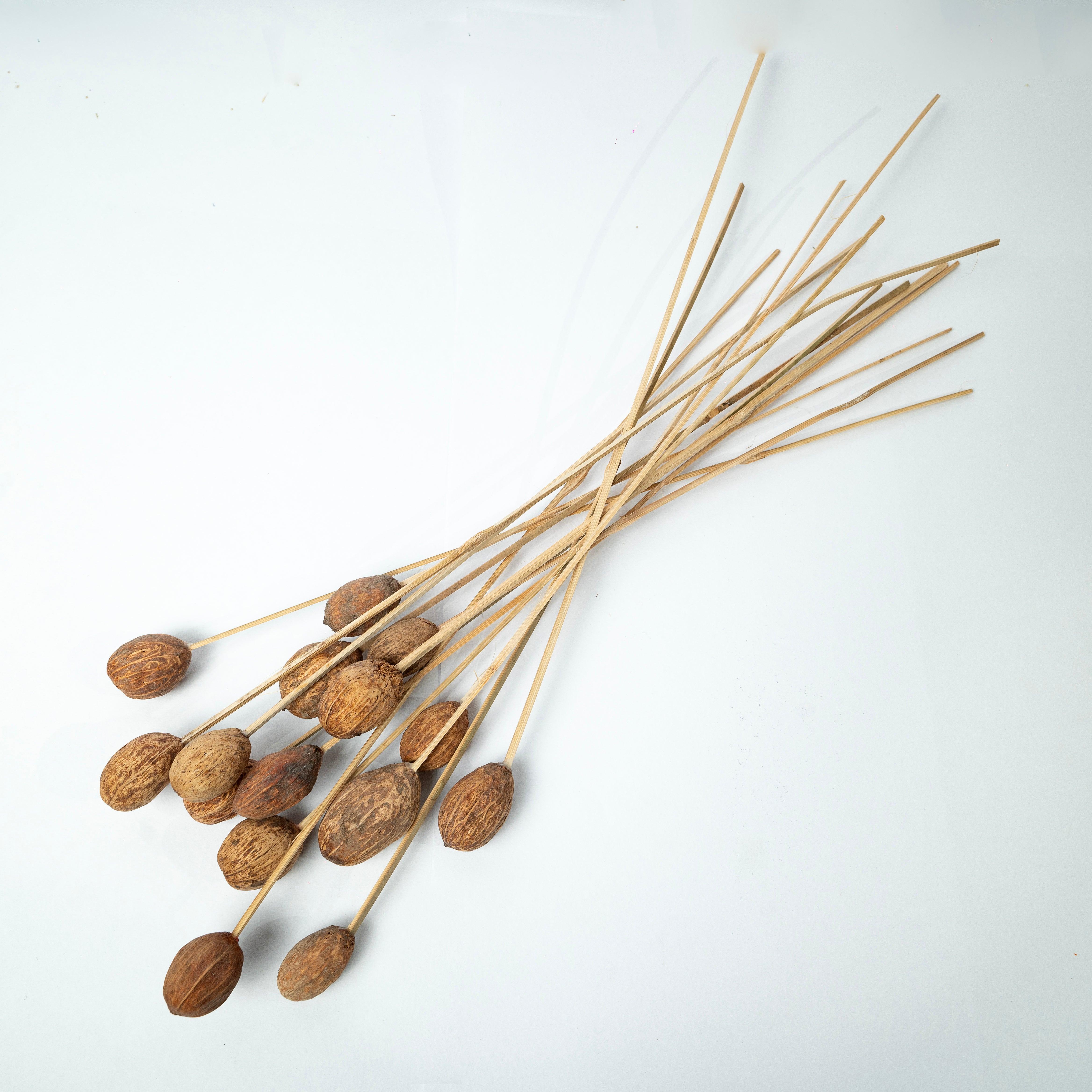 Brown Amra Dried Flower Bunch | Natural Dried Amra Pods for Home Decor | Set of 15 Sticks
