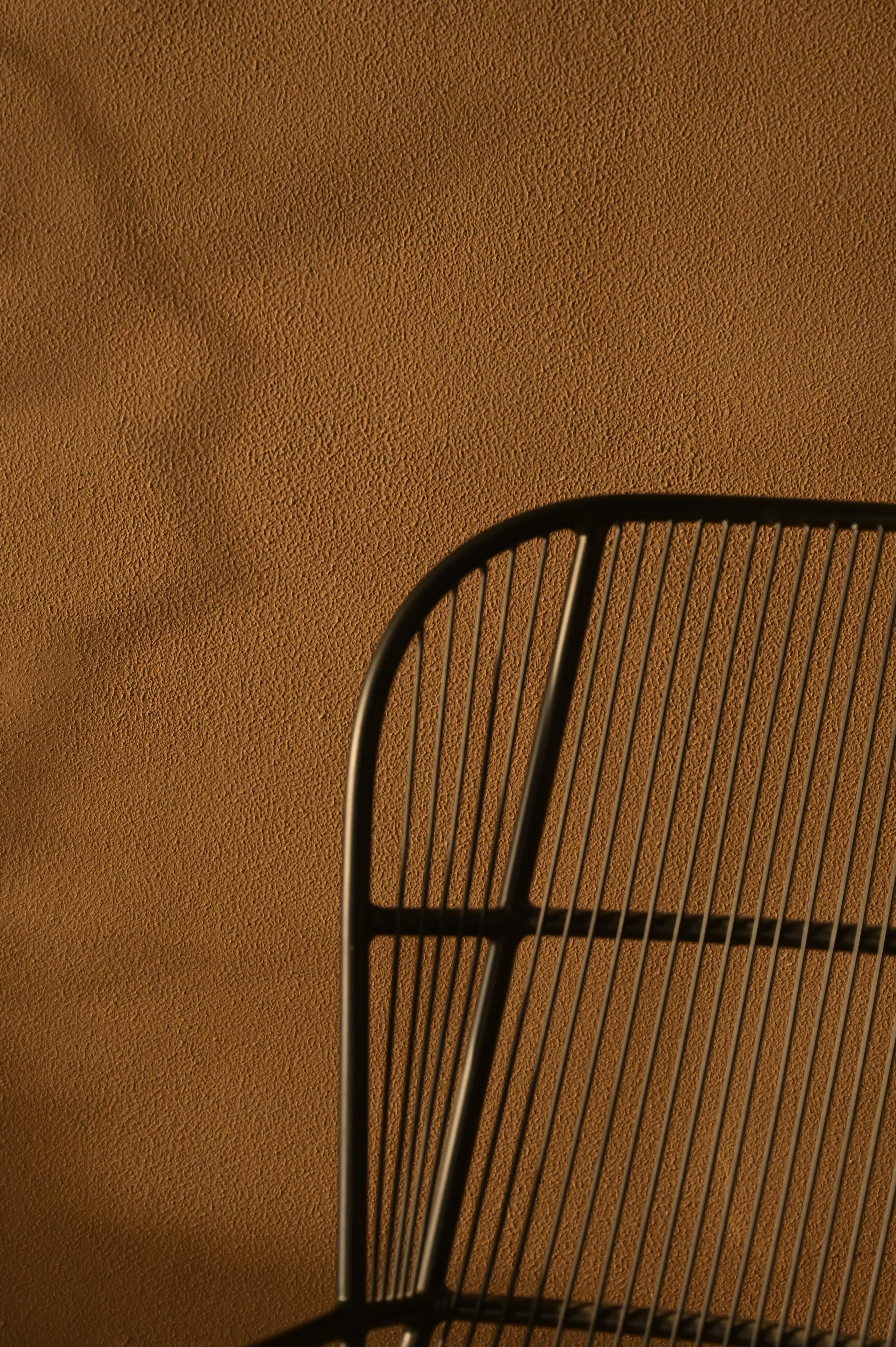 Elara Designer Lounge Chair | Modern Industrial Accent Seating | Living Room Chair