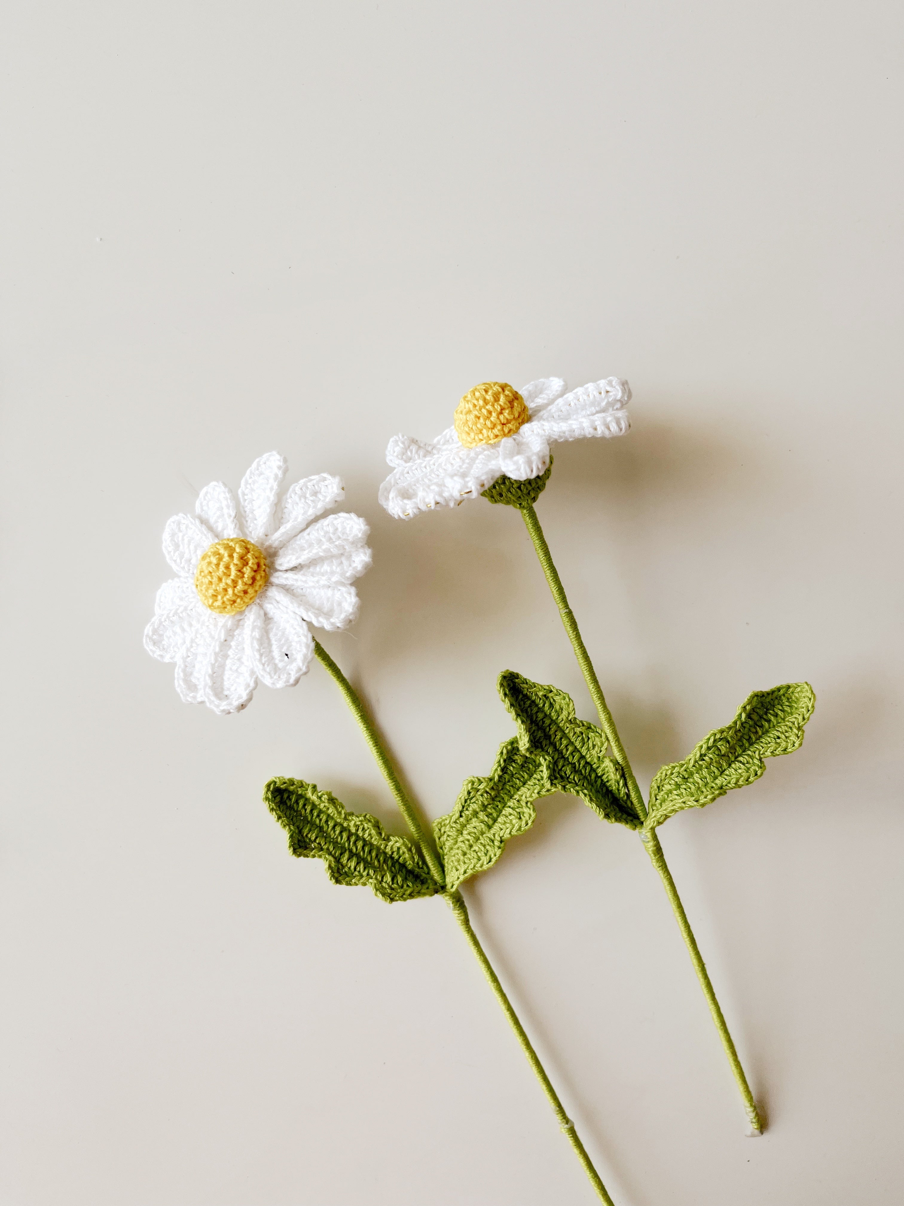 Crochet Daisy Flower