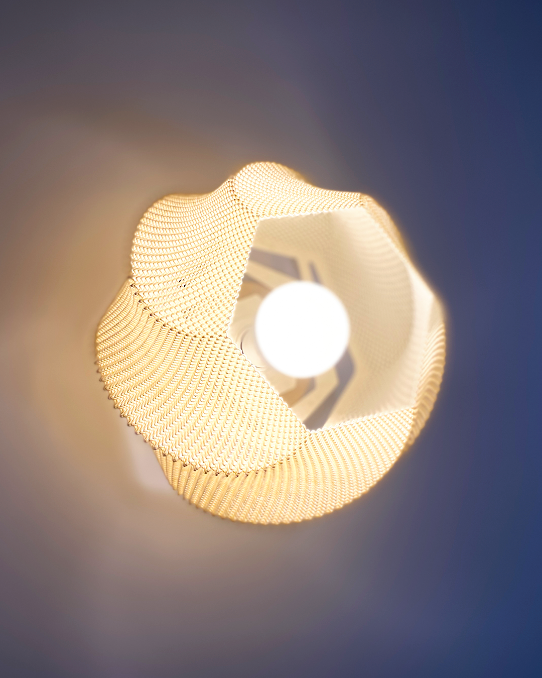 Sofia Wall Lamp