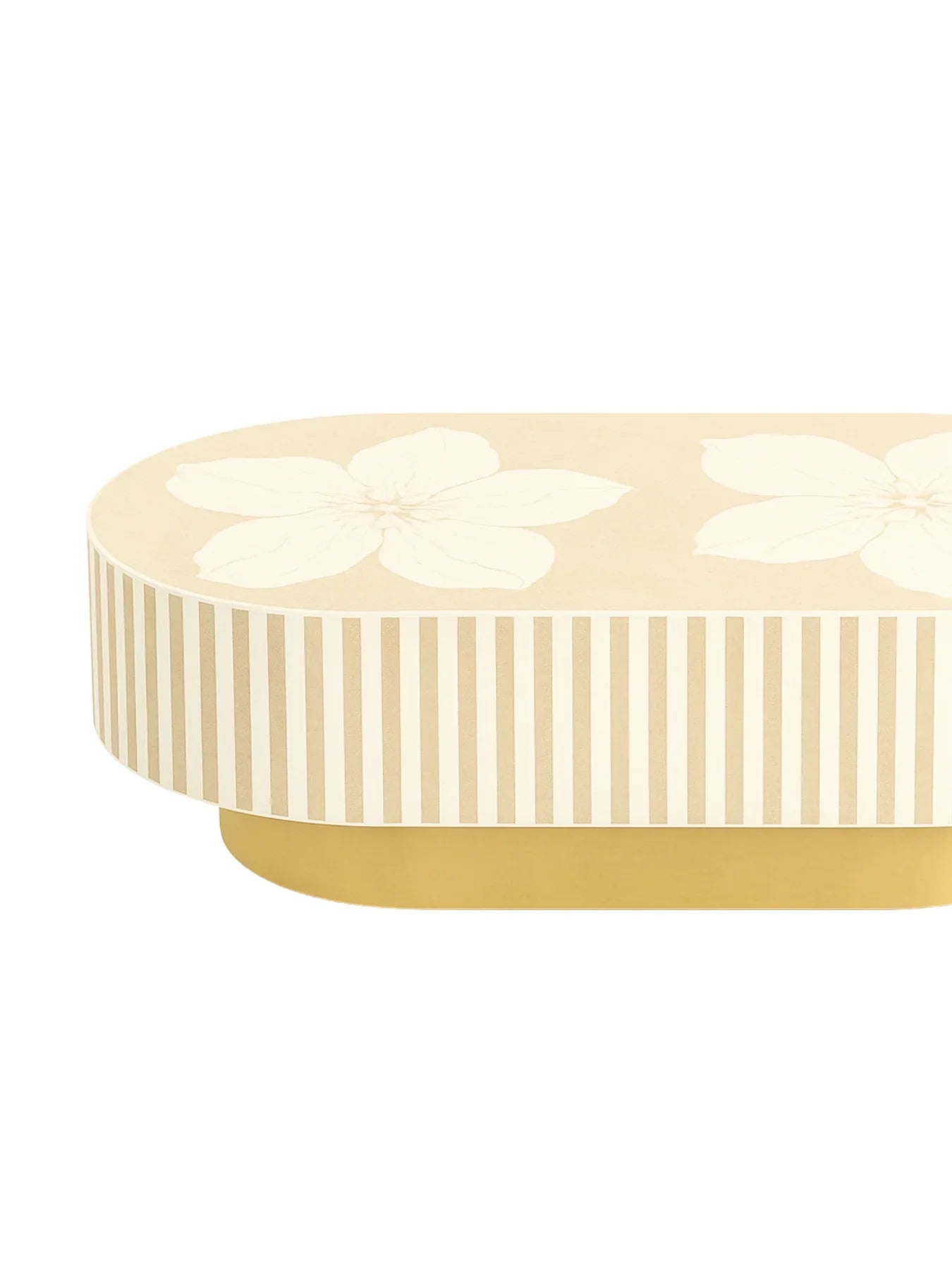 Mother of Pearl Oval Coffee Table | Luxury Bone Inlay Center Table for Living Room