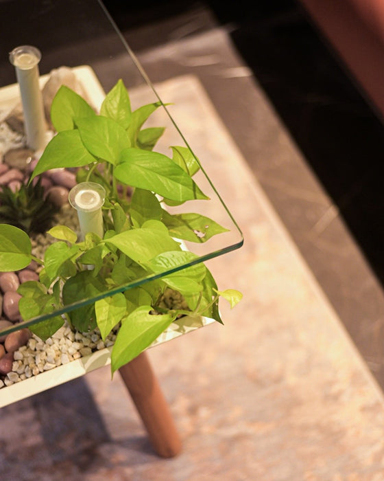 Breathing Coffee Table