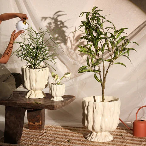 Raya Organic Planter Charcoal