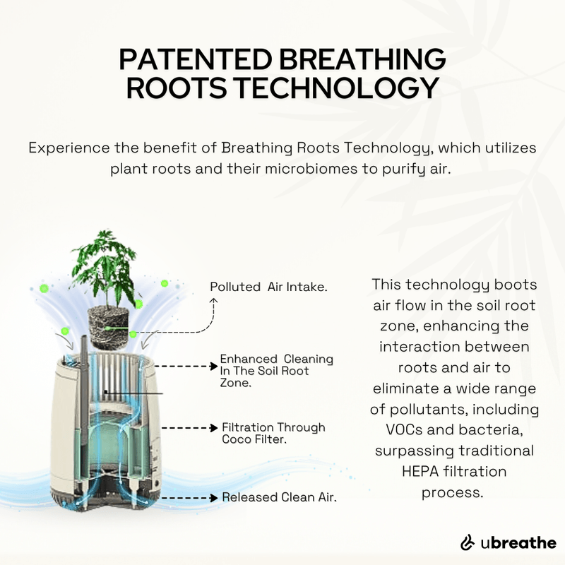 Mini Lite Planter | Compact Air Purifier & Portable Fresh Air System
