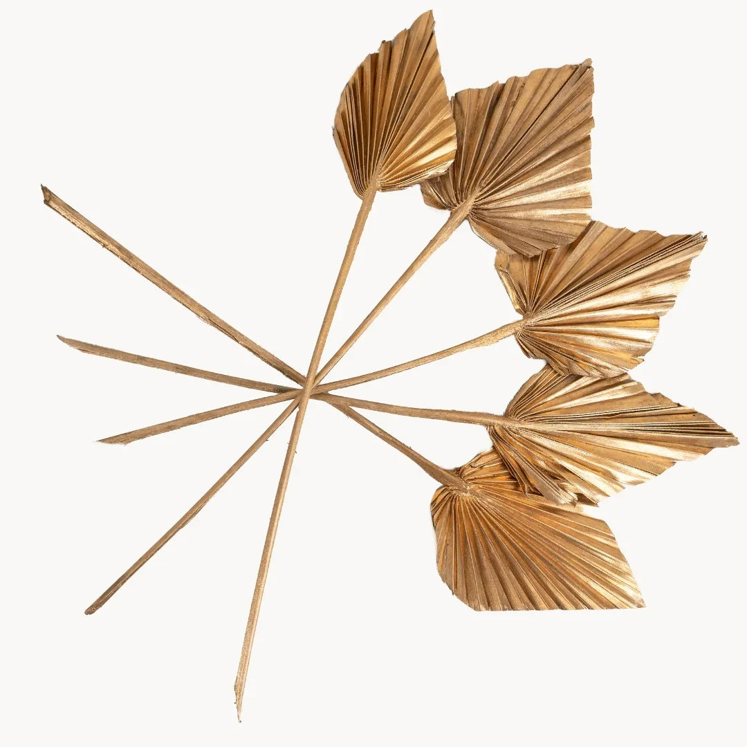 Spear Palm | Golden