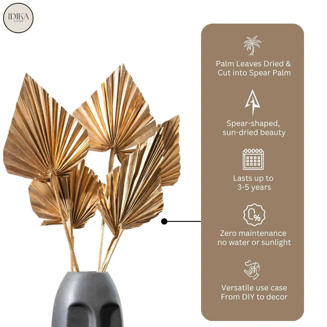 Spear Palm | Golden