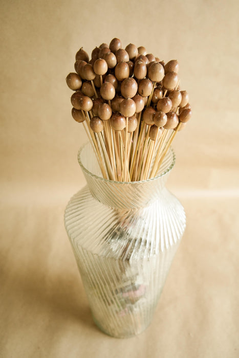 Oak Seeds Vase Filler- Set Of 25