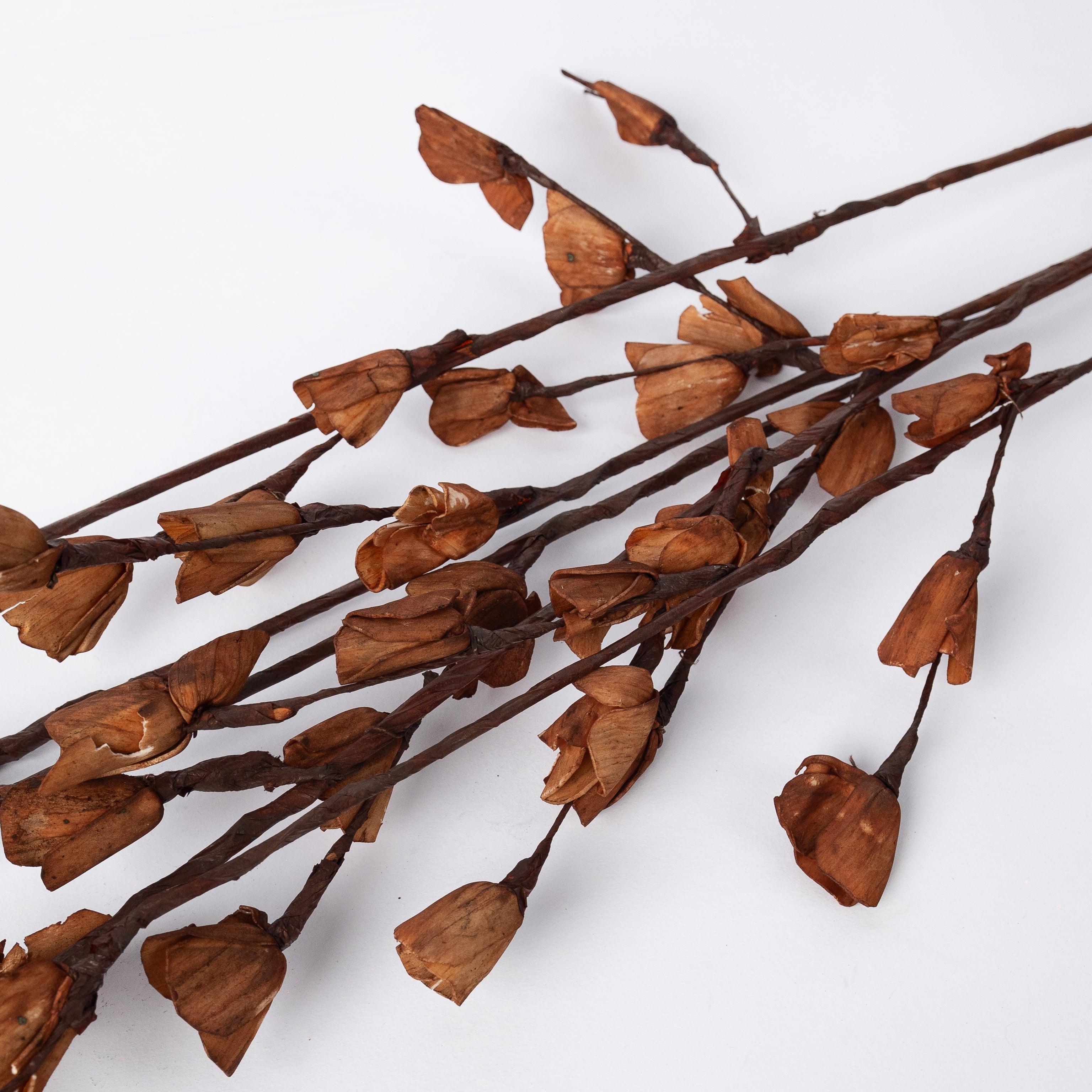 Sola Lily | Brown & White