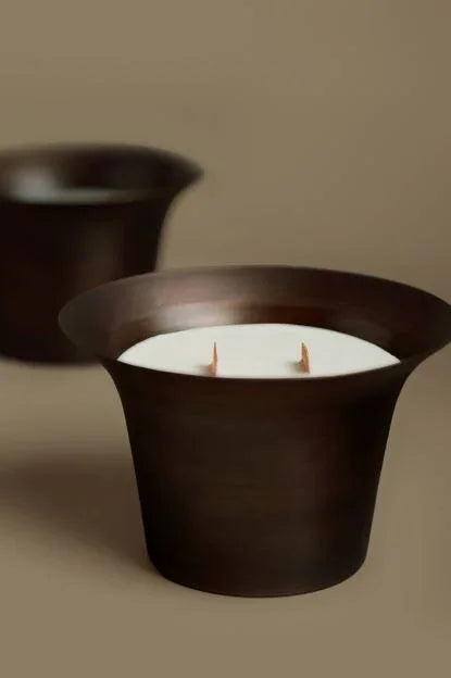 Japanese Honeysuckle