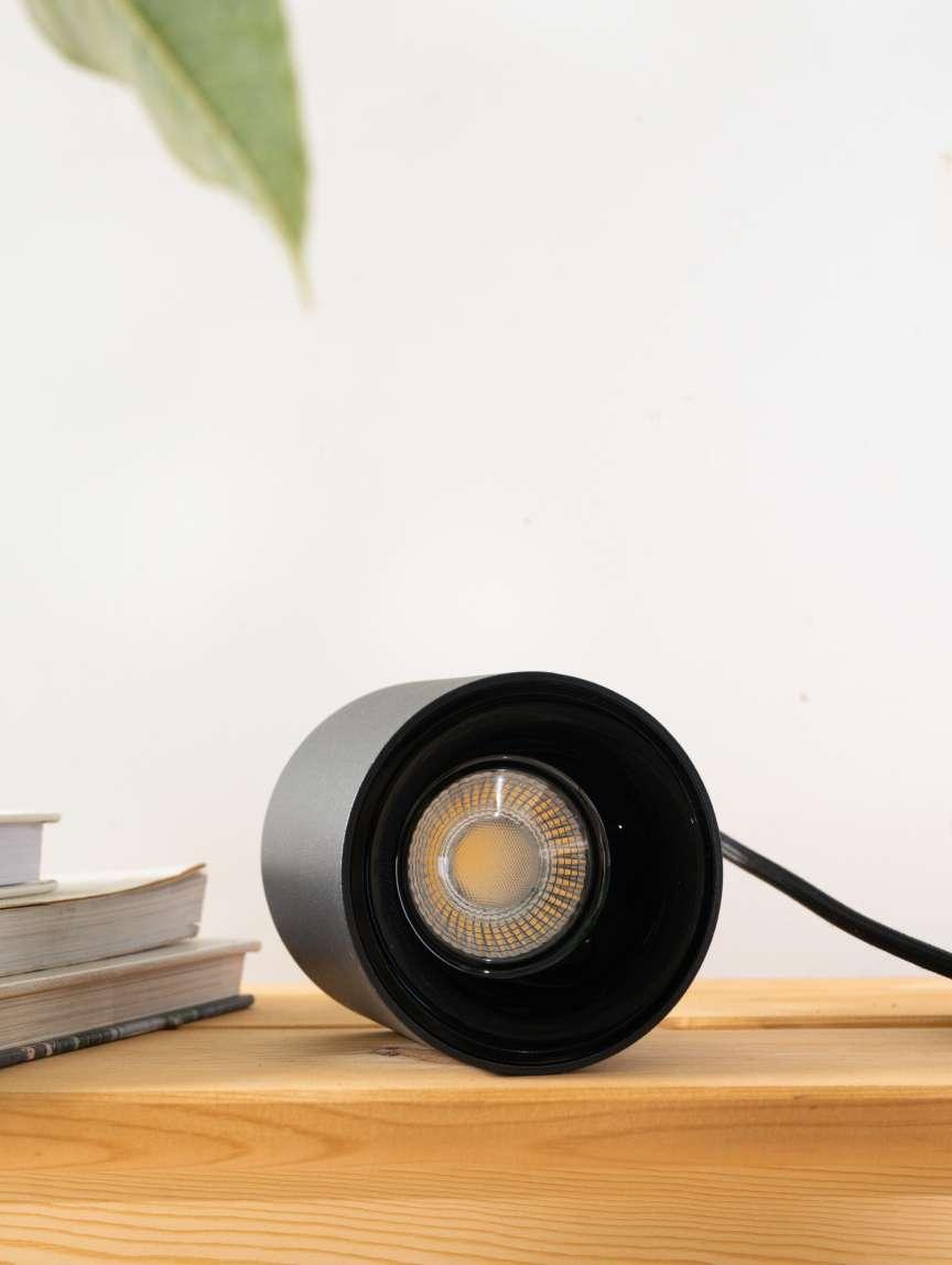 Blaze 20W LED Pendant Light | Indoor Plant Hanging Lamp with Warm & Cool Tones