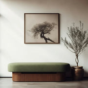 Sablon Upholstered Bench | Teak Wood Seating Bench with Olive Fabric Seating (Modern Bench Seat)