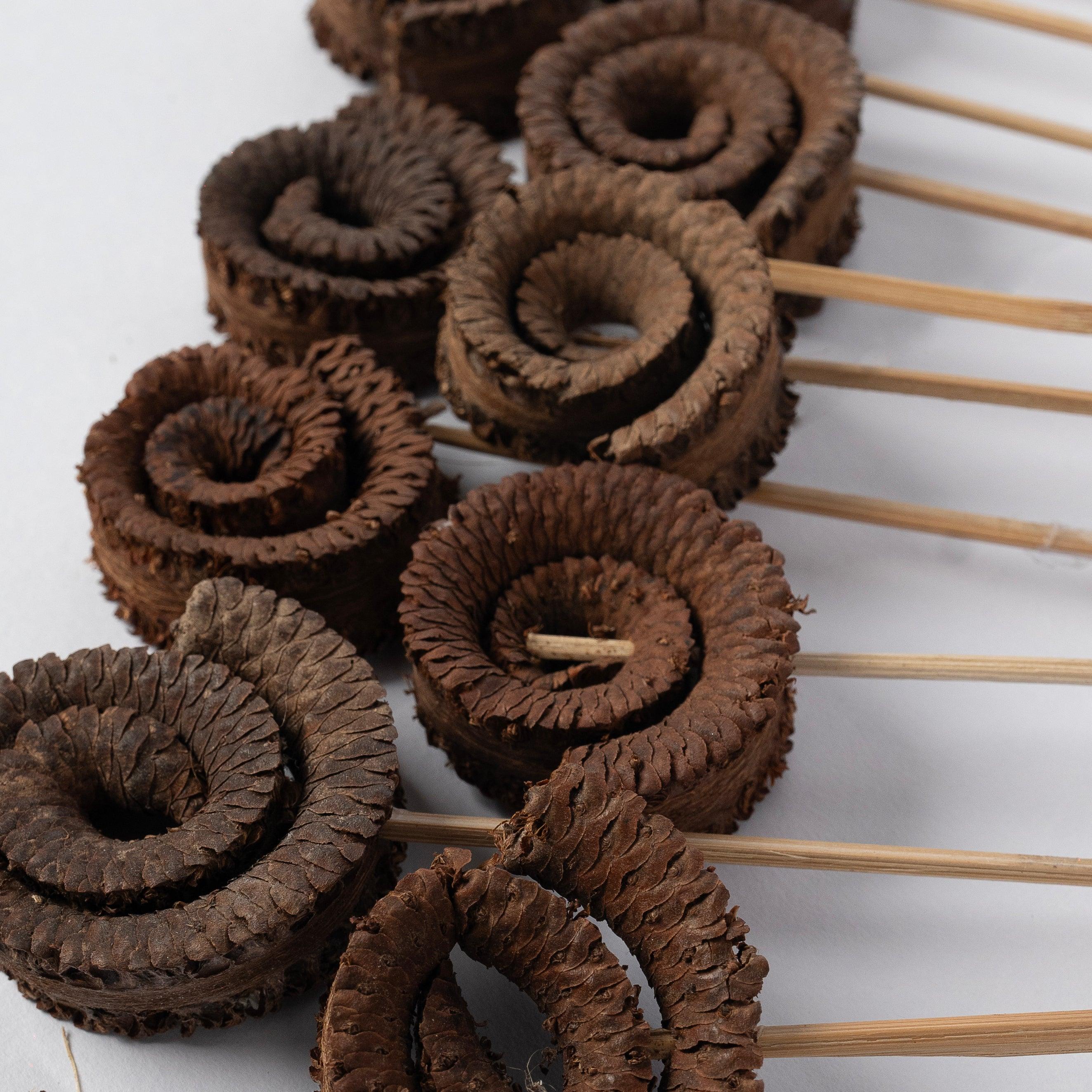 Dried Palm Ring | Natural