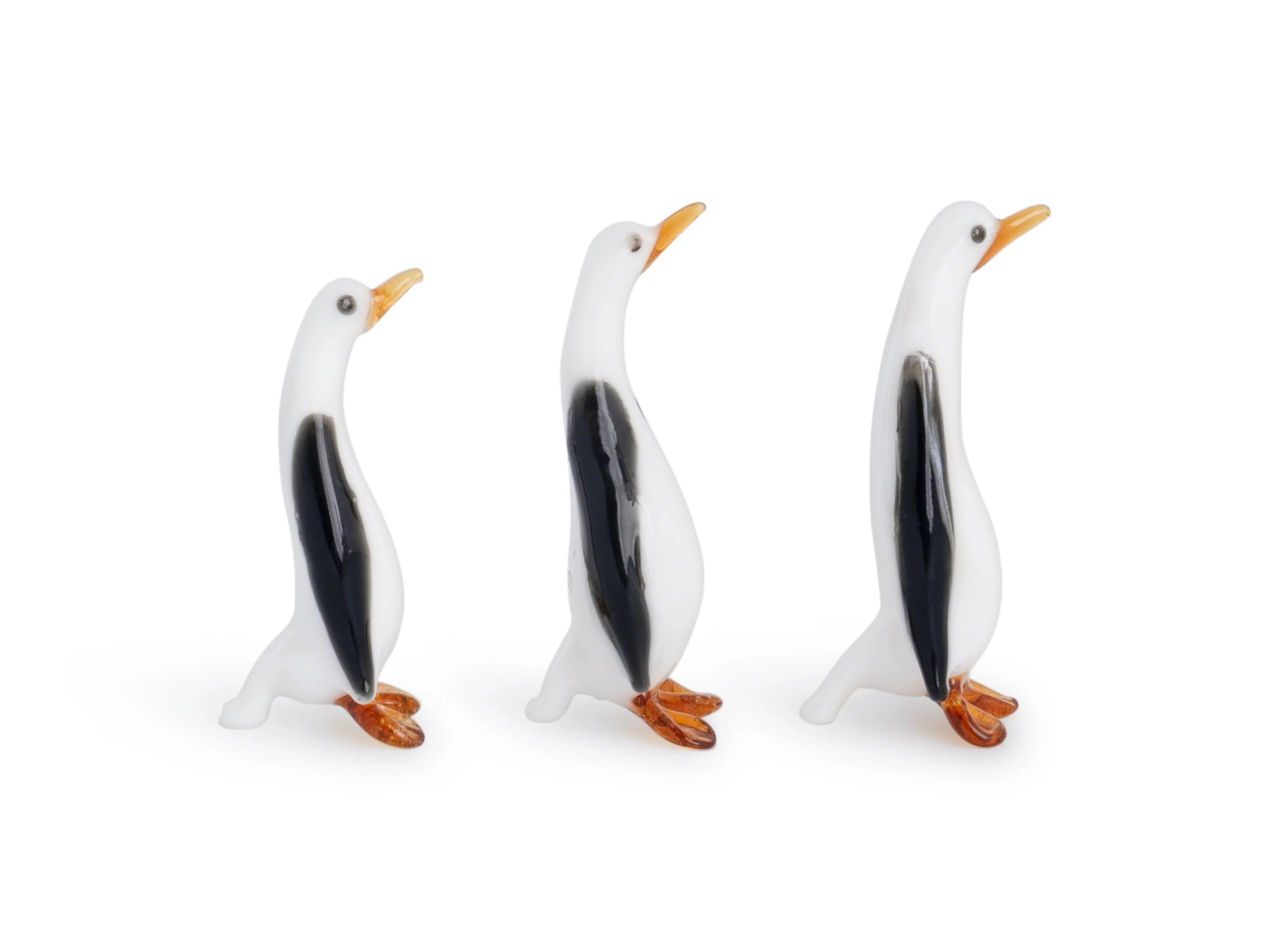 Glass Penguin
