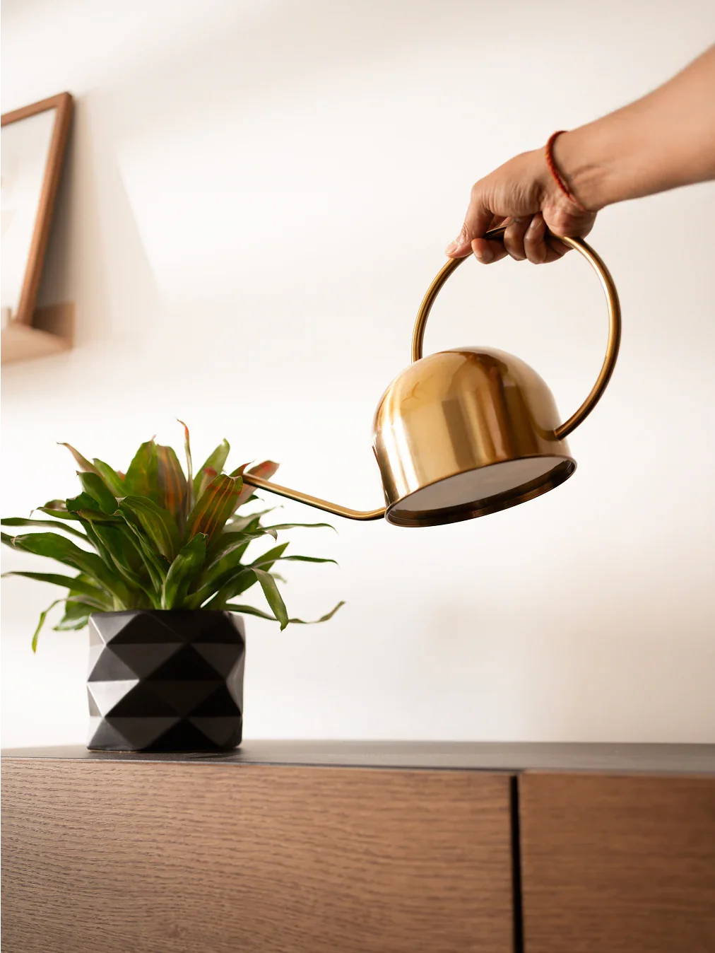 Stainless Steel Watering Can 1.2L | Garden Sprinkler Can Indoor & Outdoor Plant Care