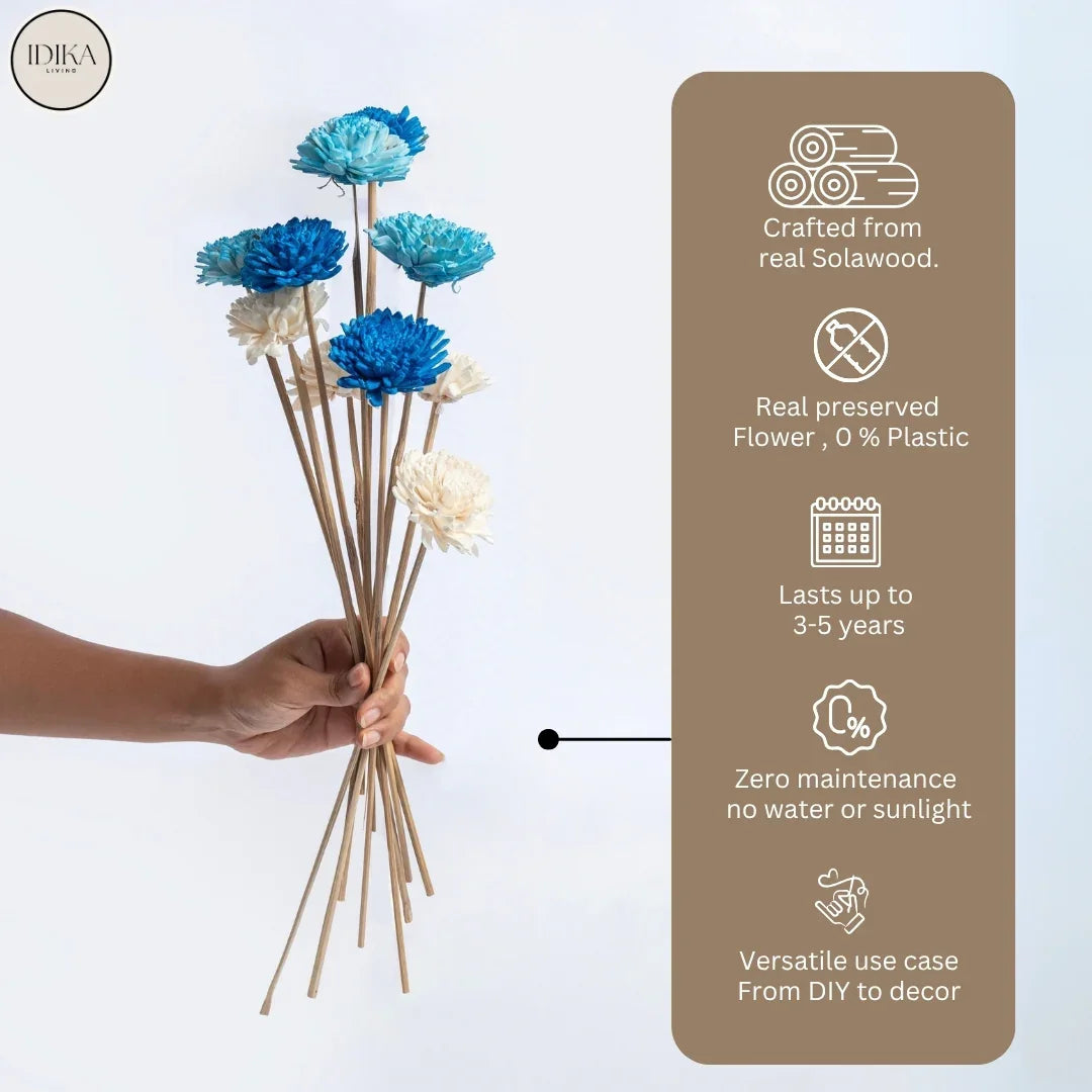 Ziniya - 6 cm | Dark Blue, Sky Blue and White