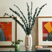 Dried Eucalyptus Dried Stems | Natural Green Floral Décor for Home & DIY | 10 Pcs Sticks
