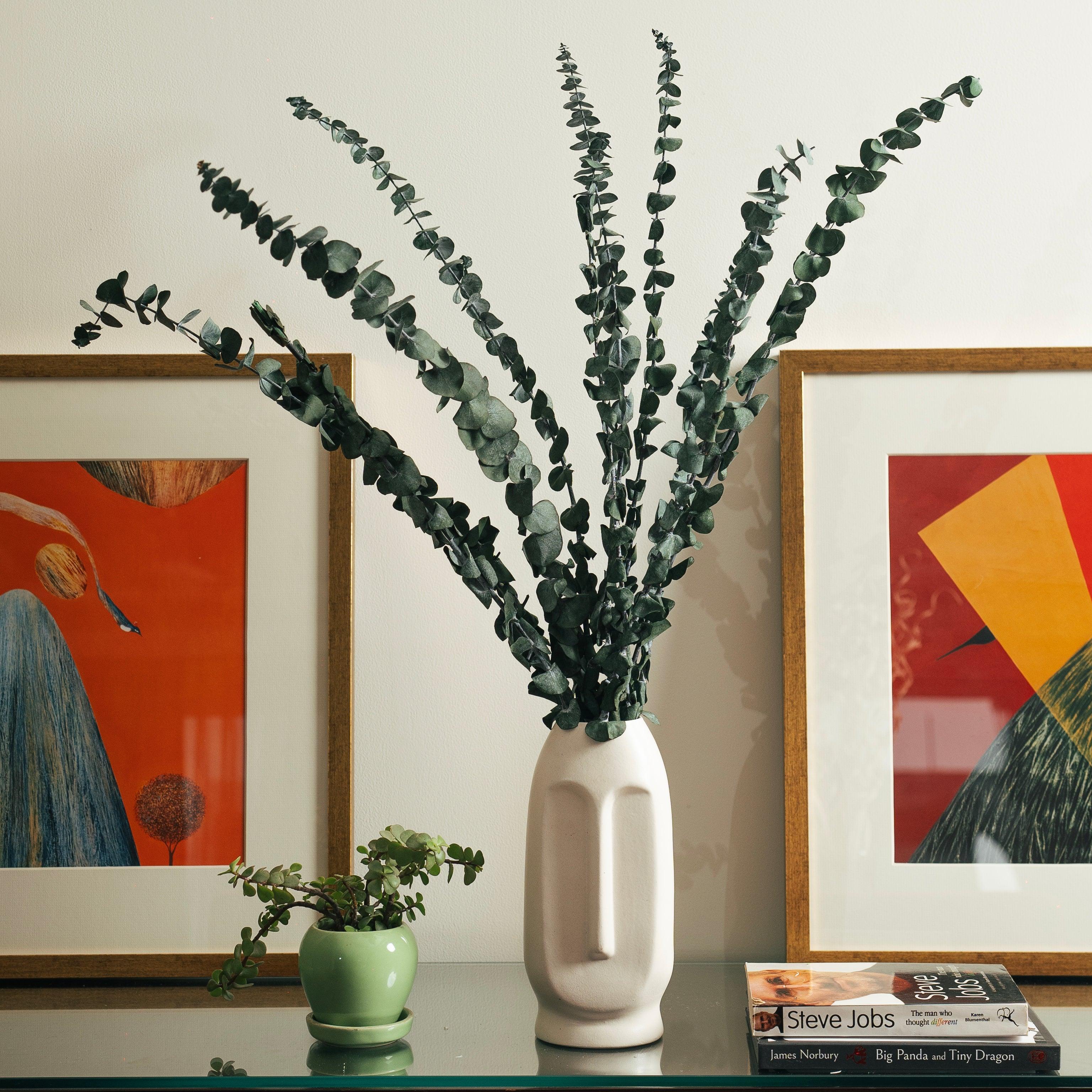 Dried Eucaplytptus | 10 Pcs Sticks