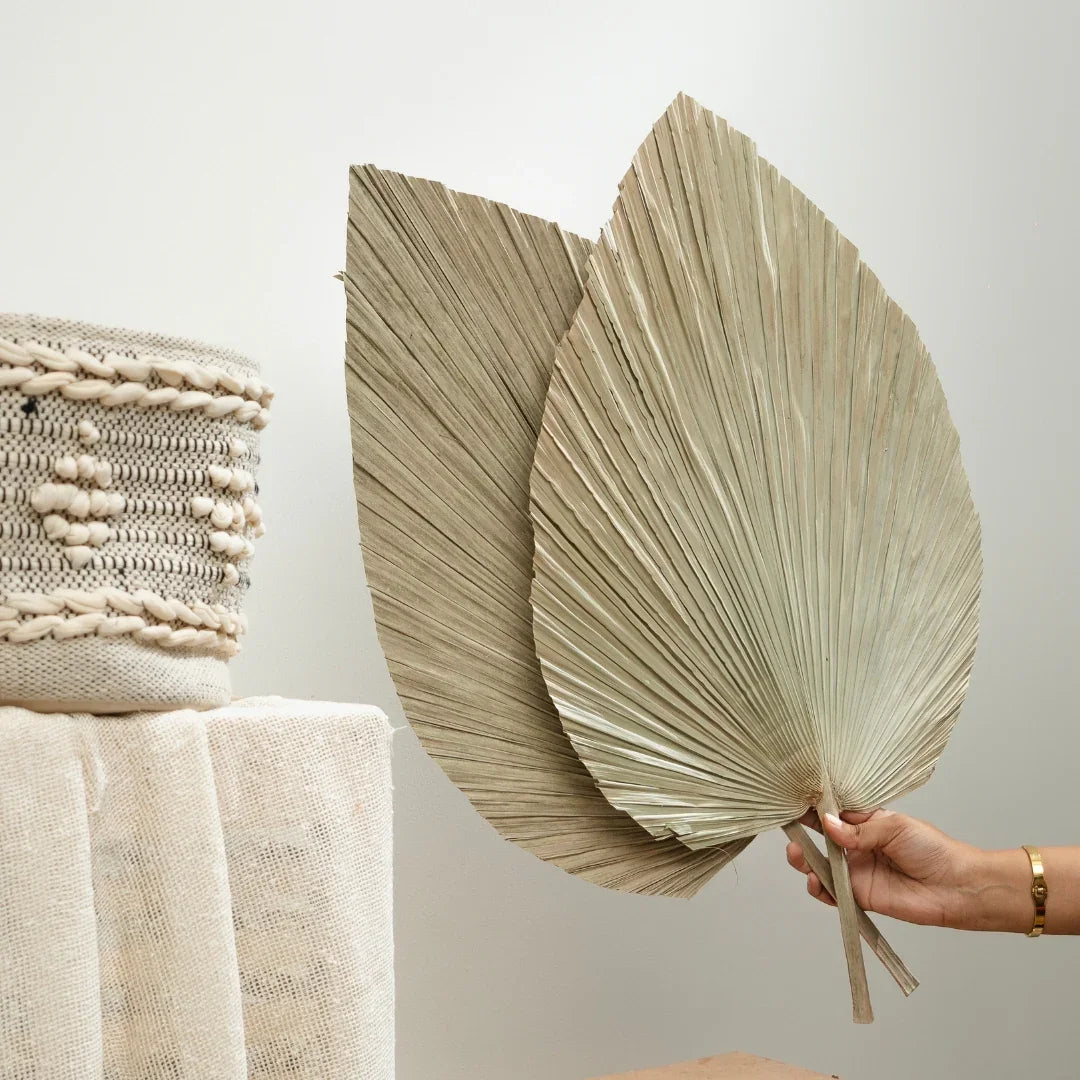 Jumbo Spear Palm | Natural