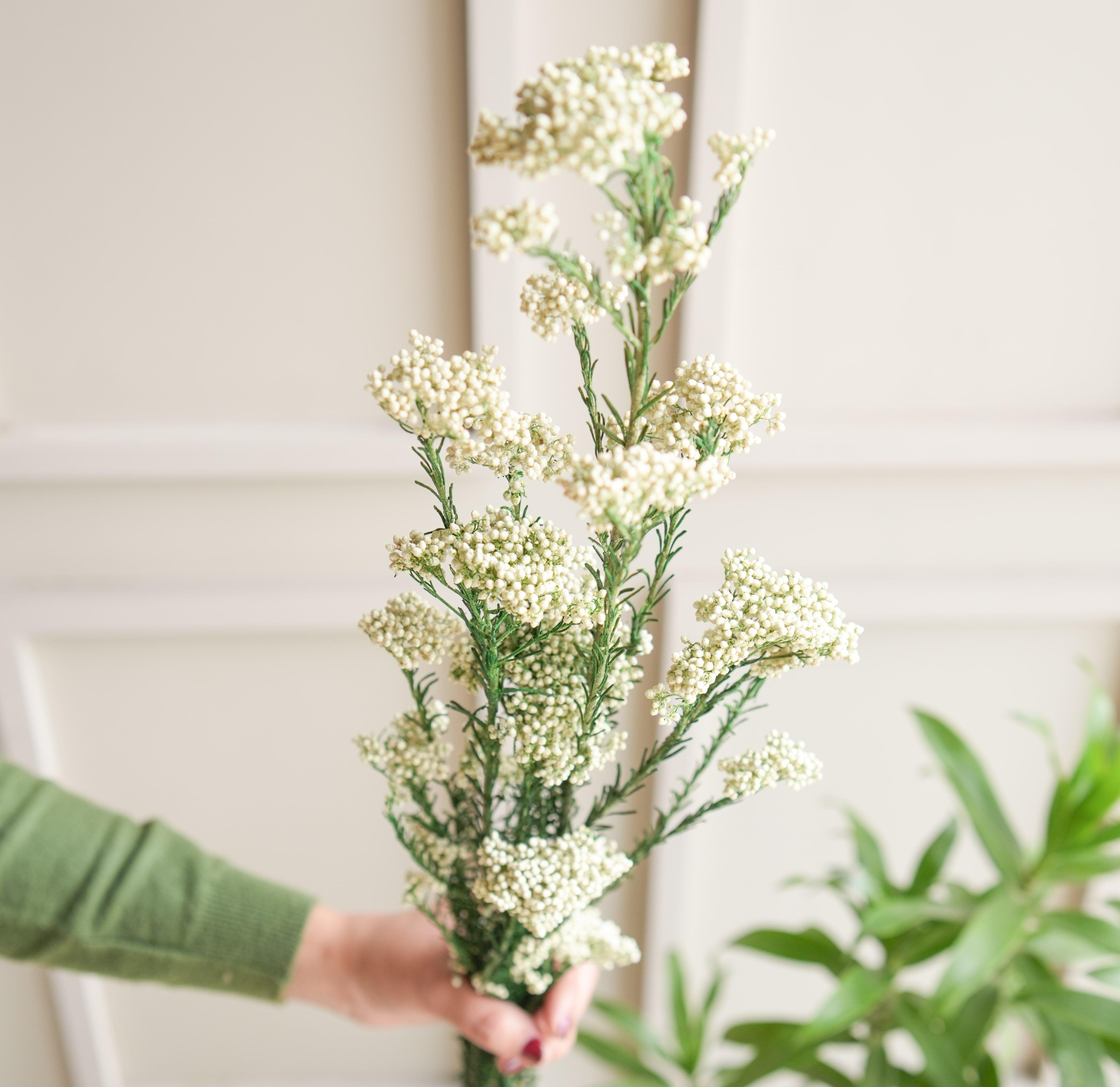 Rice White Dried Flower Stems | Natural Dried Flower for Decor 3-5 Pcs Stems