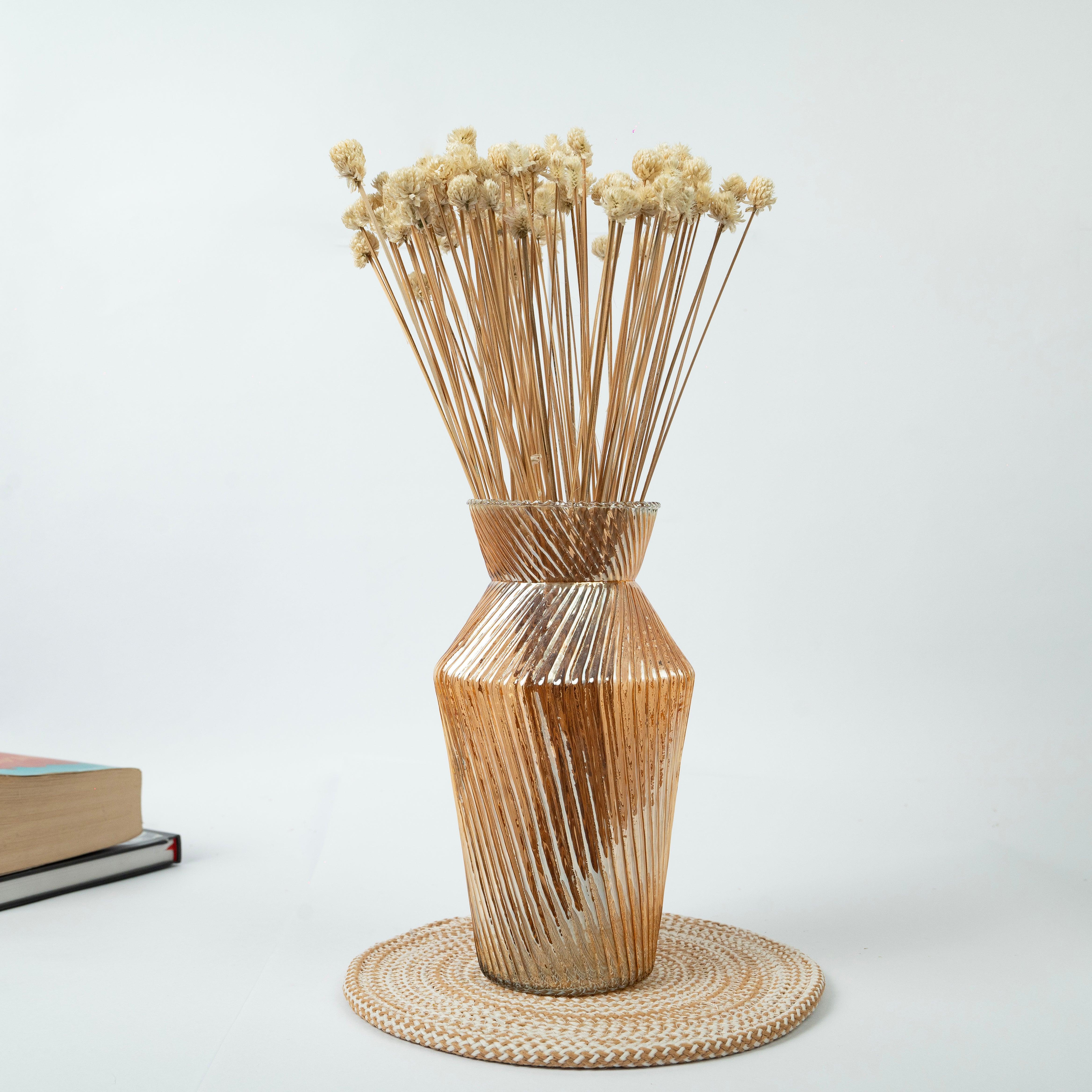 Natural Gomphrena Dried Flower | White