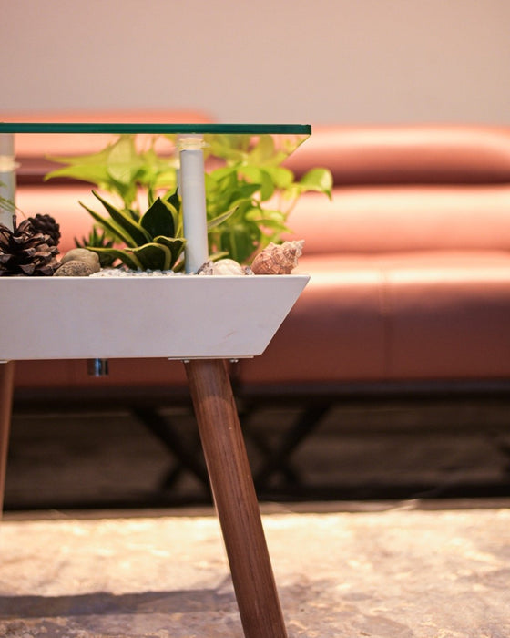 Breathing Coffee Table